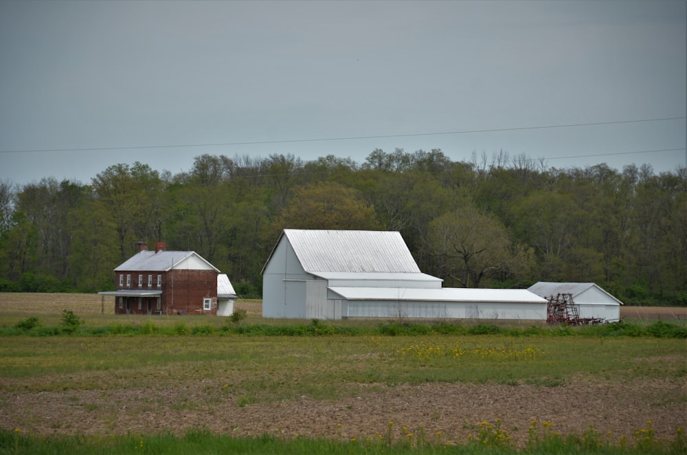 white and brown house on green grass field