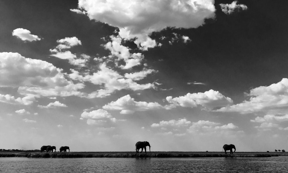 grayscale photo of people on beach