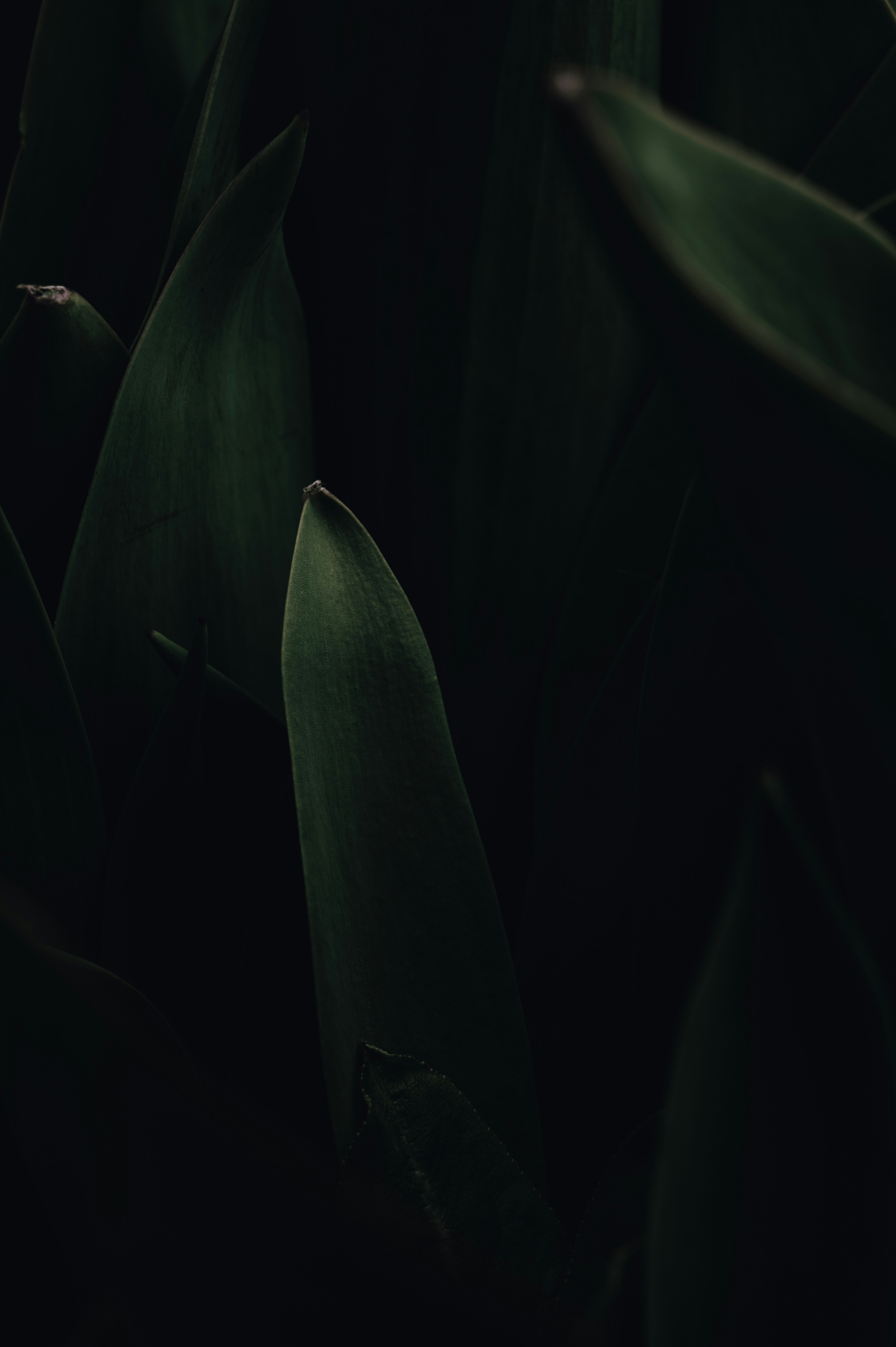 Photo by ryunosuke_kikuno