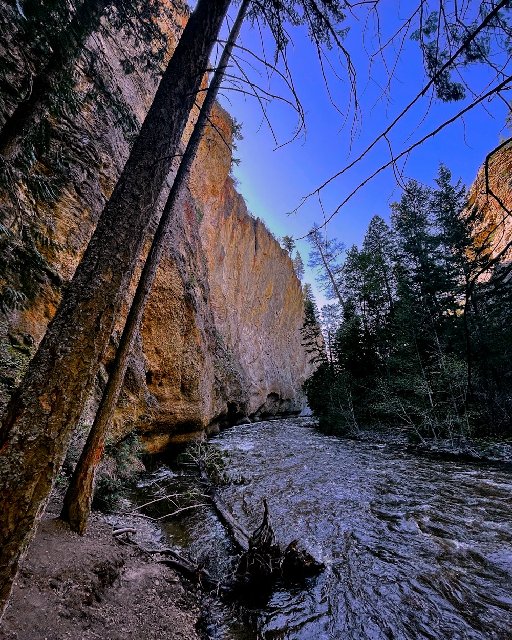 brown rocky mountain with green trees under blue sky during daytime