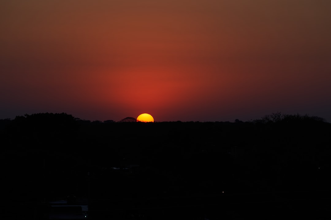 silhouette of trees during sunset