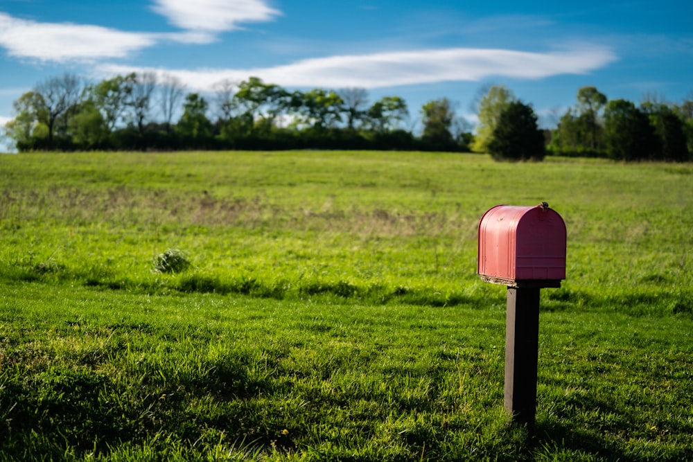 Boîte aux lettres rouge sur un champ d’herbe verte pendant la journée