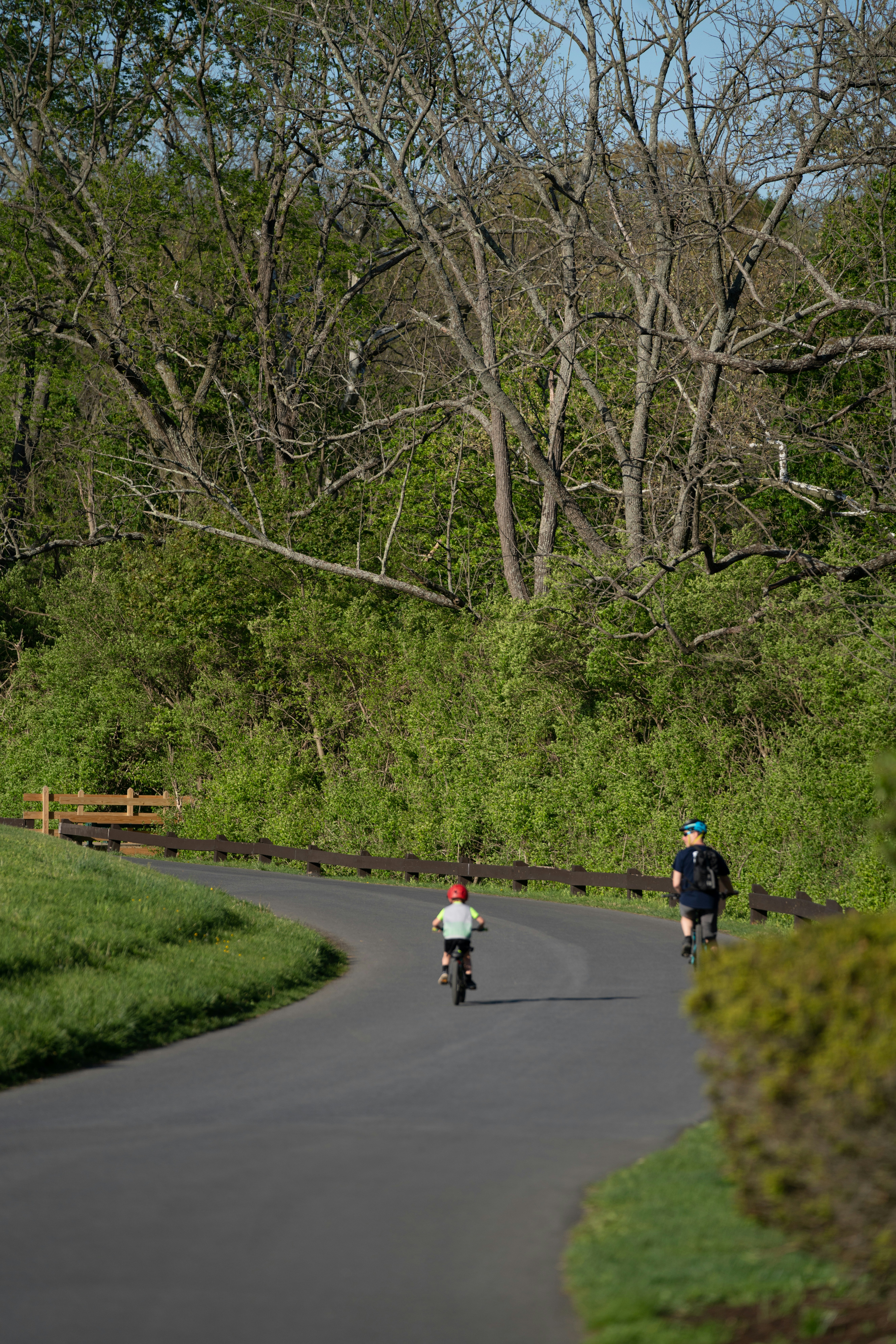 people riding bicycle on road during daytime