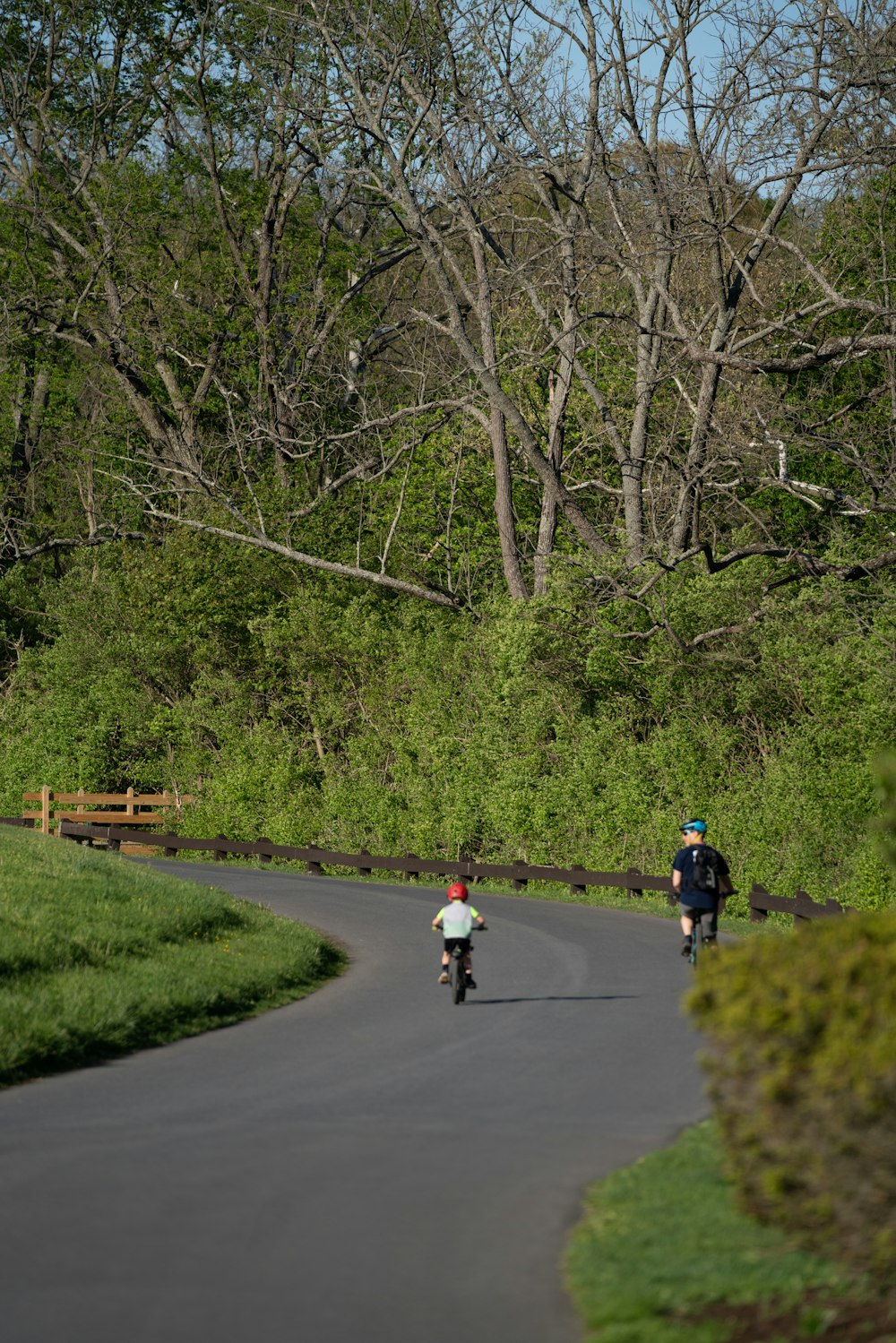 people riding bicycle on road during daytime