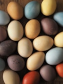 Brightly colored eggs freshly gathered from the humane poultry program.