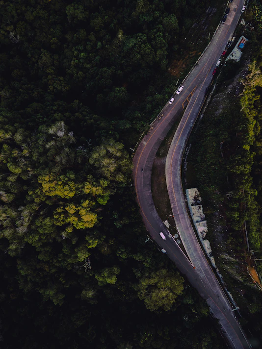 aerial view of road in the middle of forest
