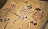 a group of skeletons sitting on top of a sandy ground