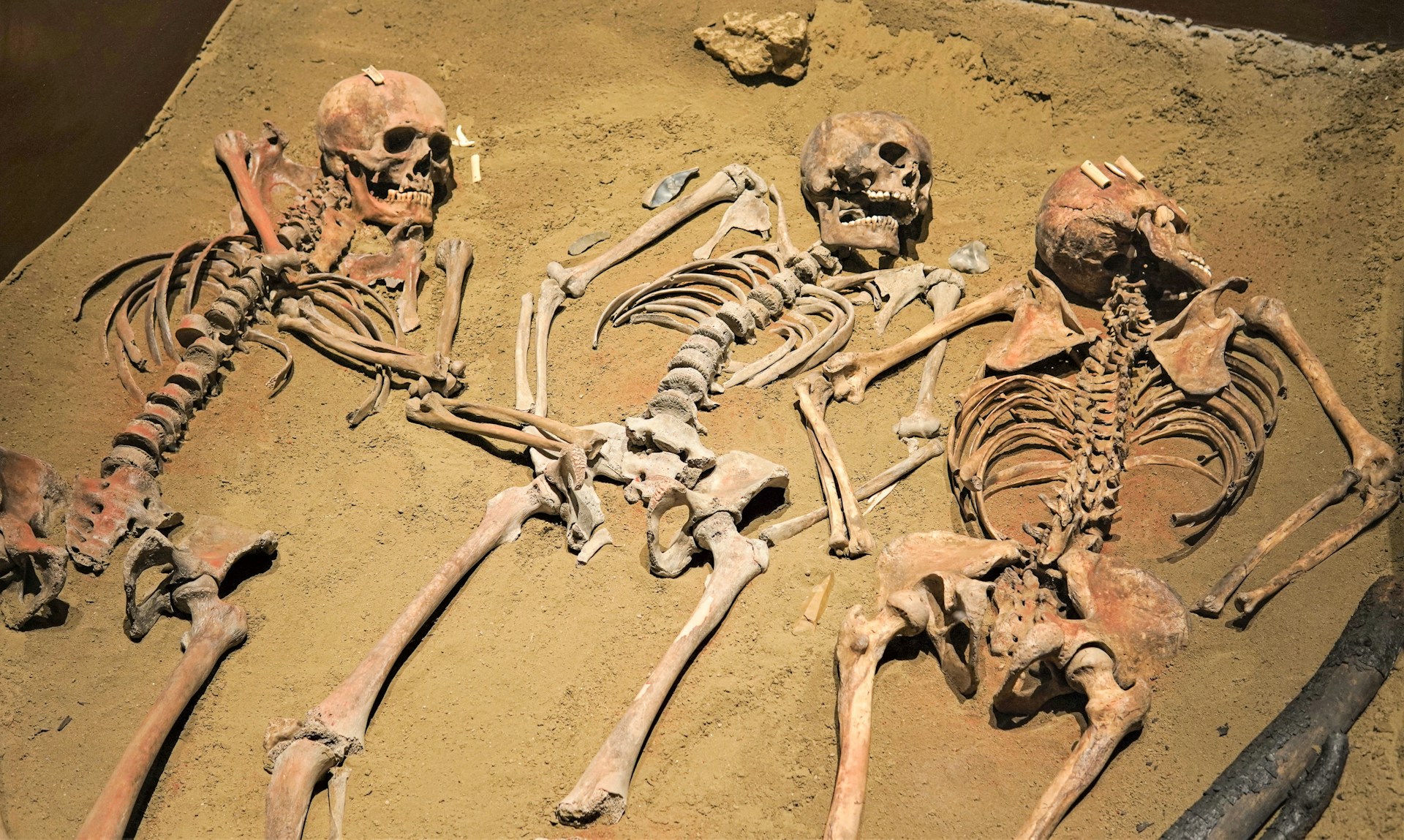 a group of skeletons sitting on top of a sandy ground