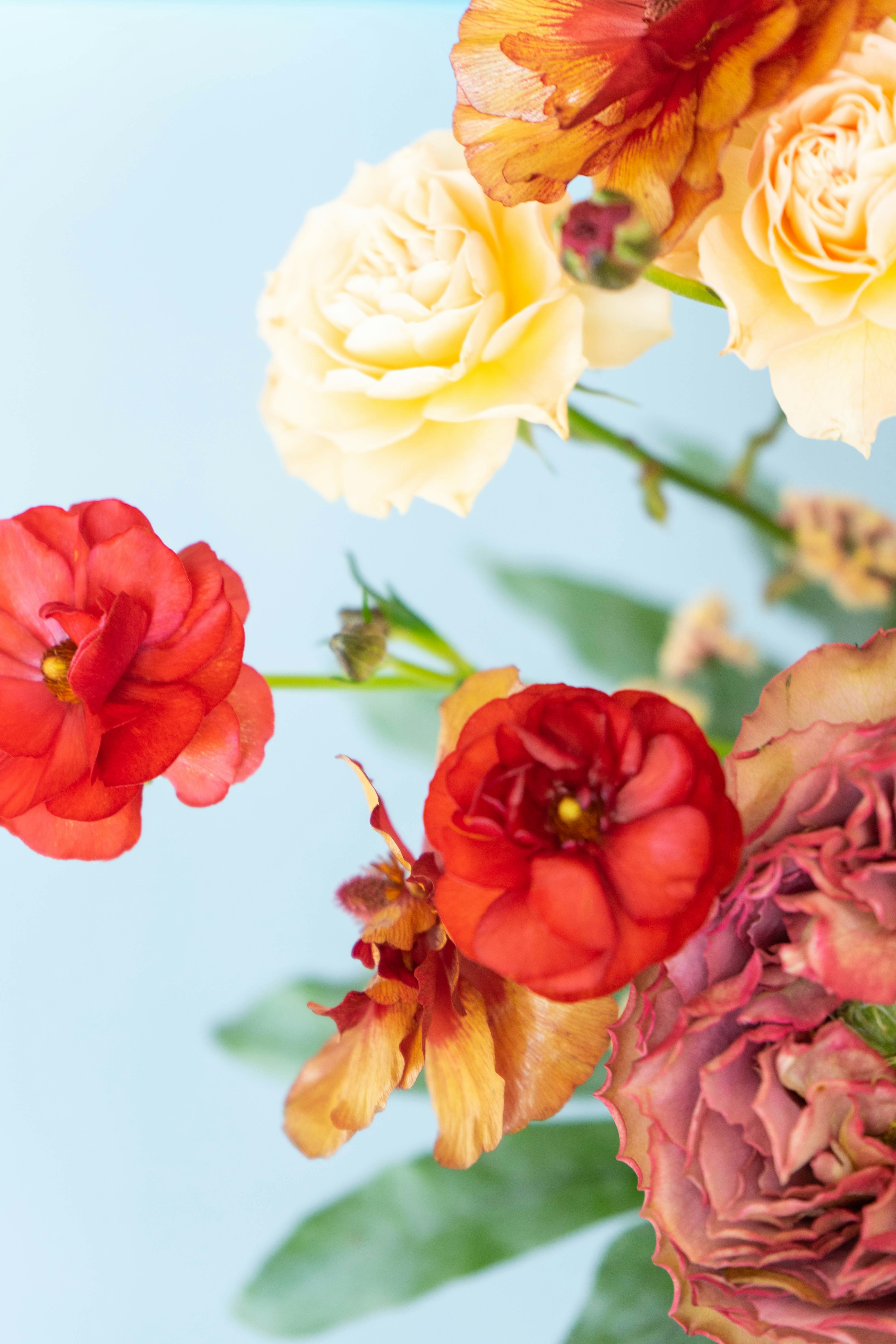 Colorful everlasting flowers bouquet