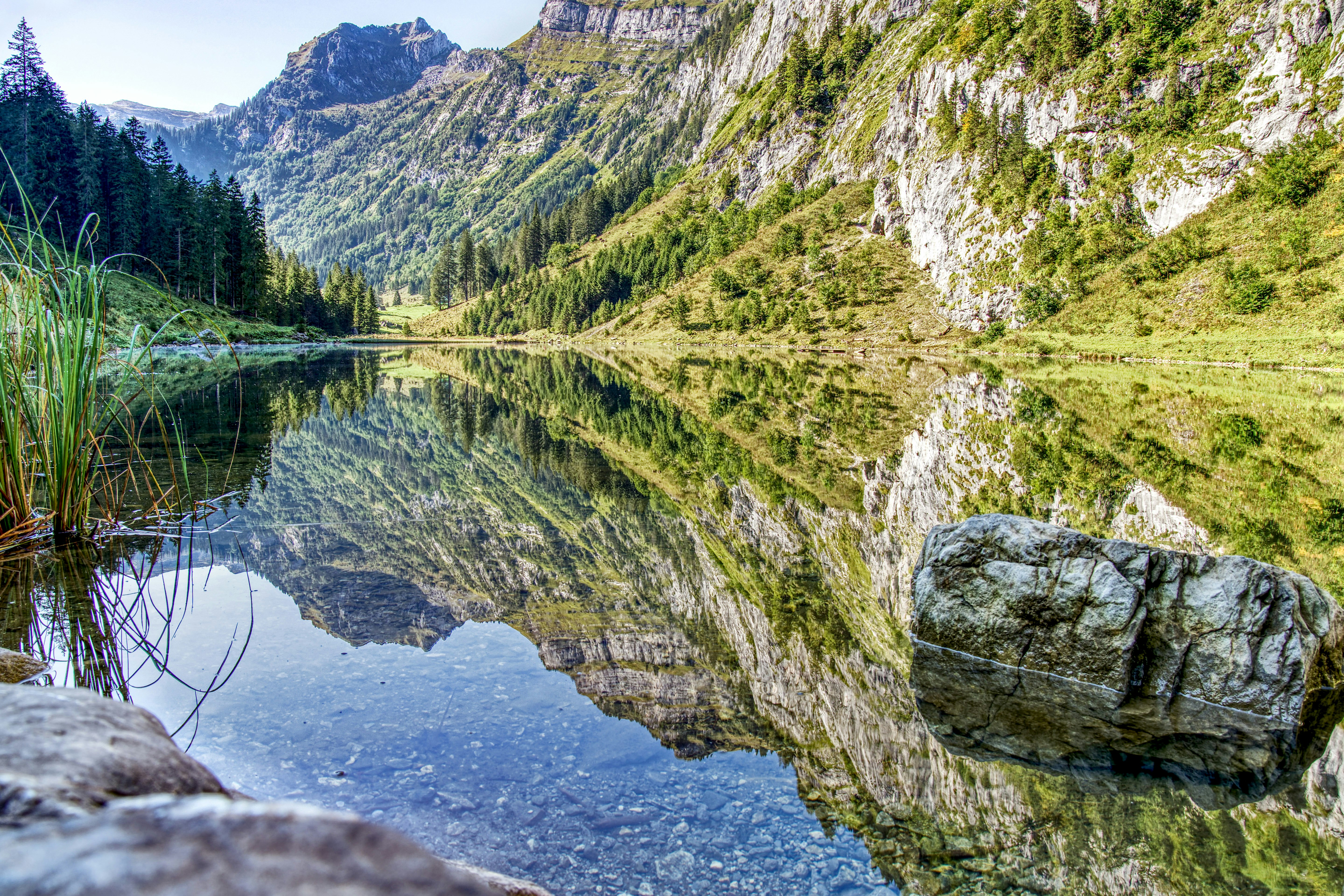 green trees on mountain beside lake during daytime