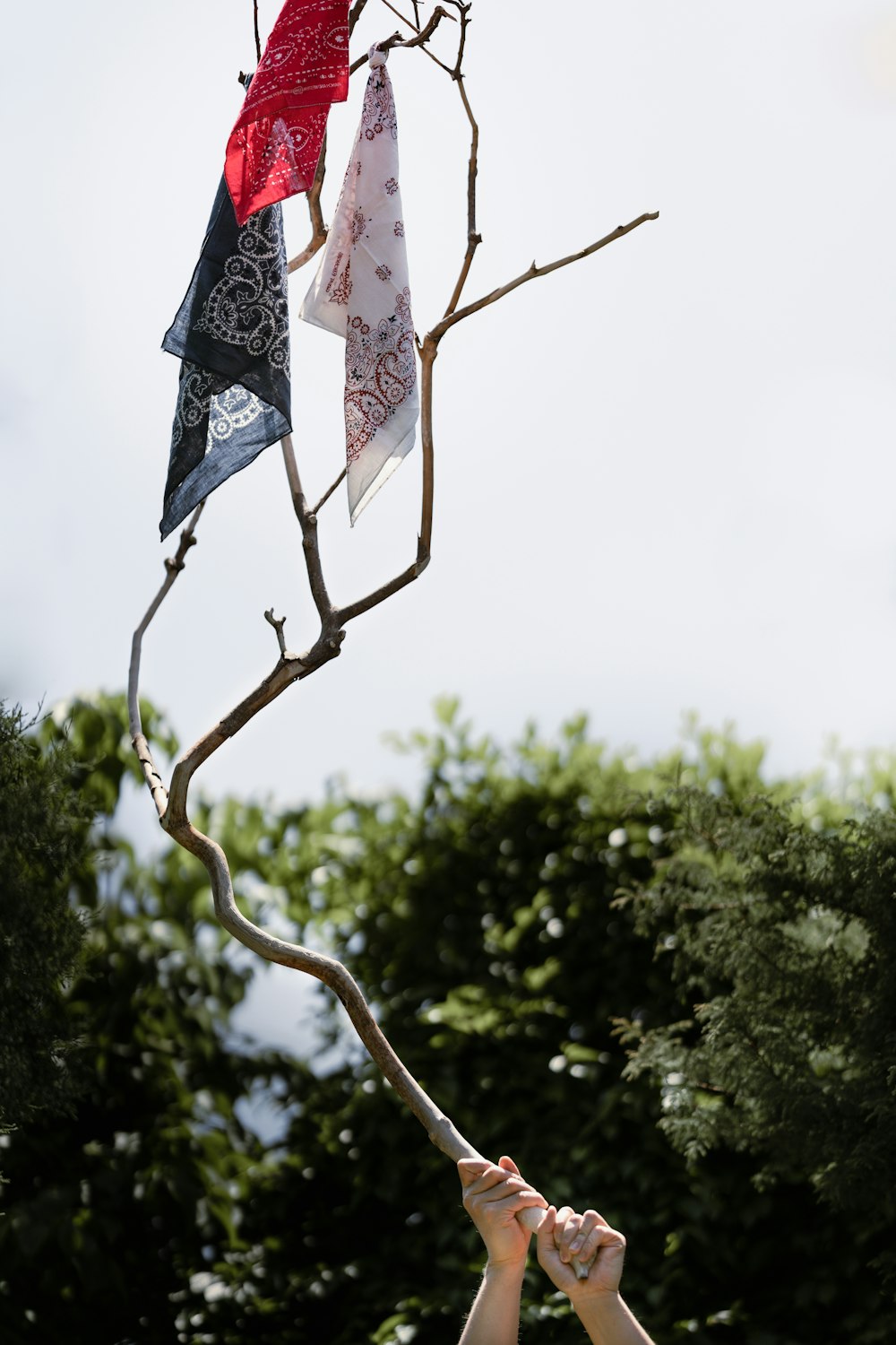 blue white and red flag on brown tree branch during daytime