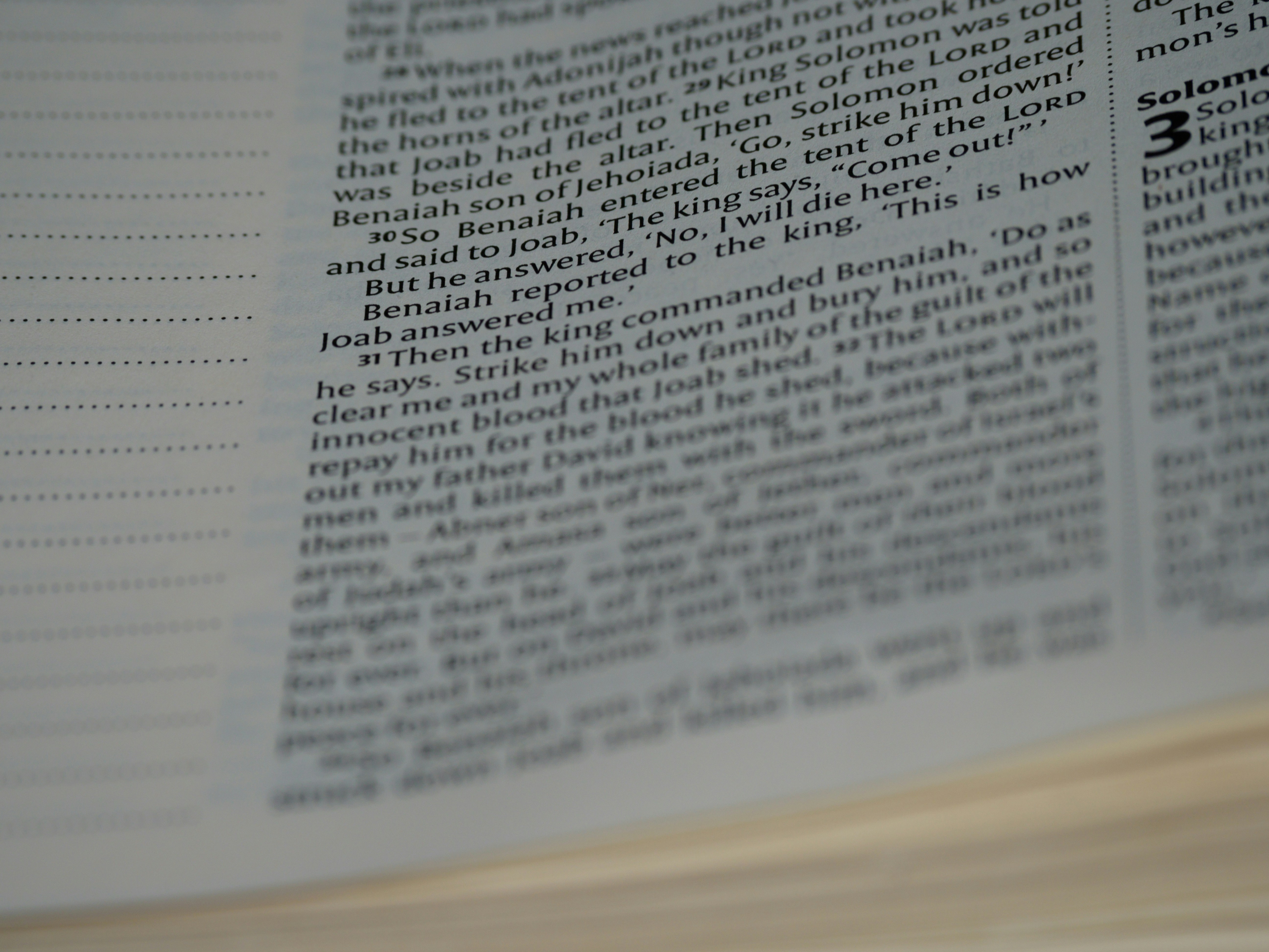 Photo by brett_jordan