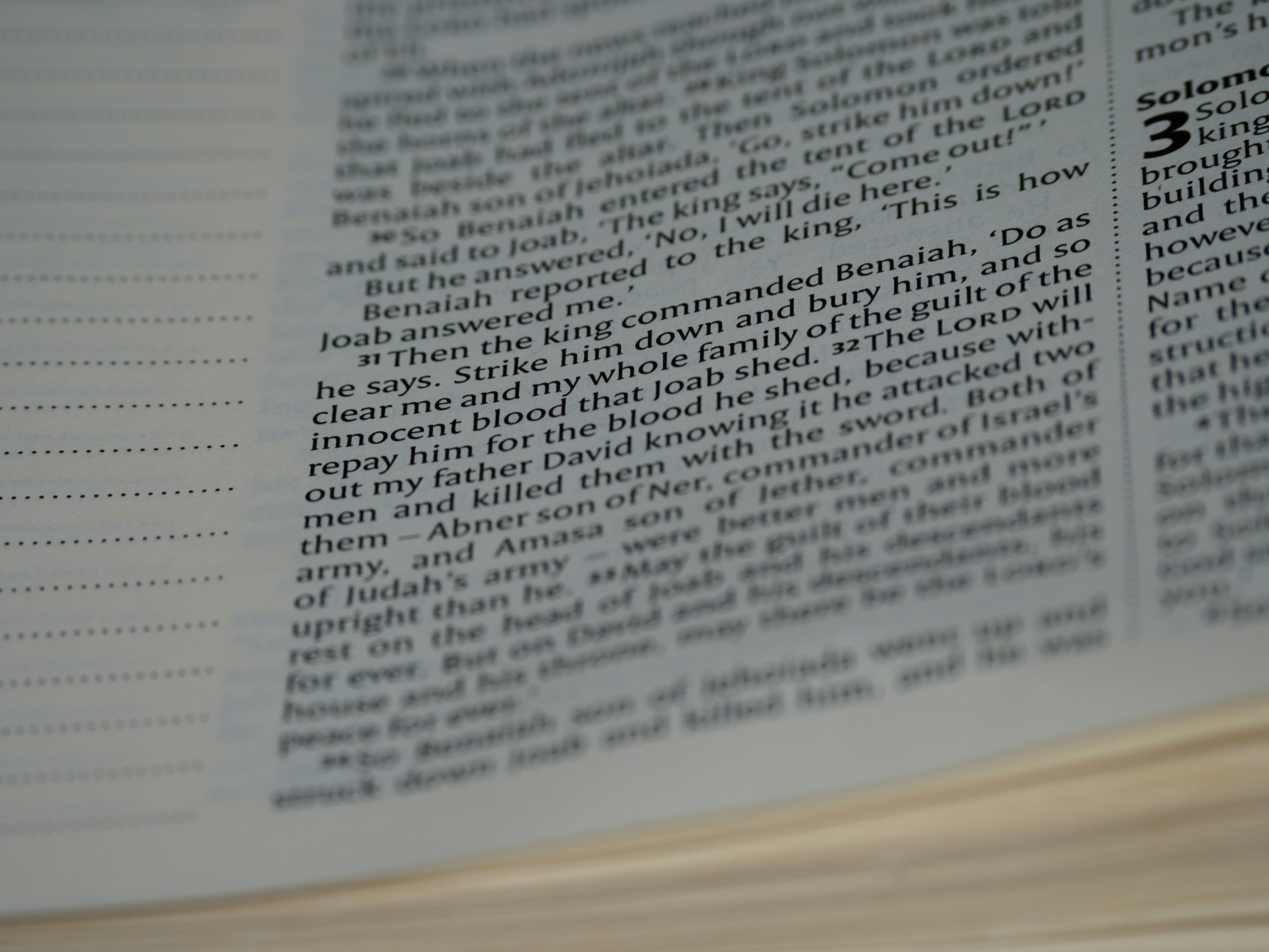 Photo by brett_jordan