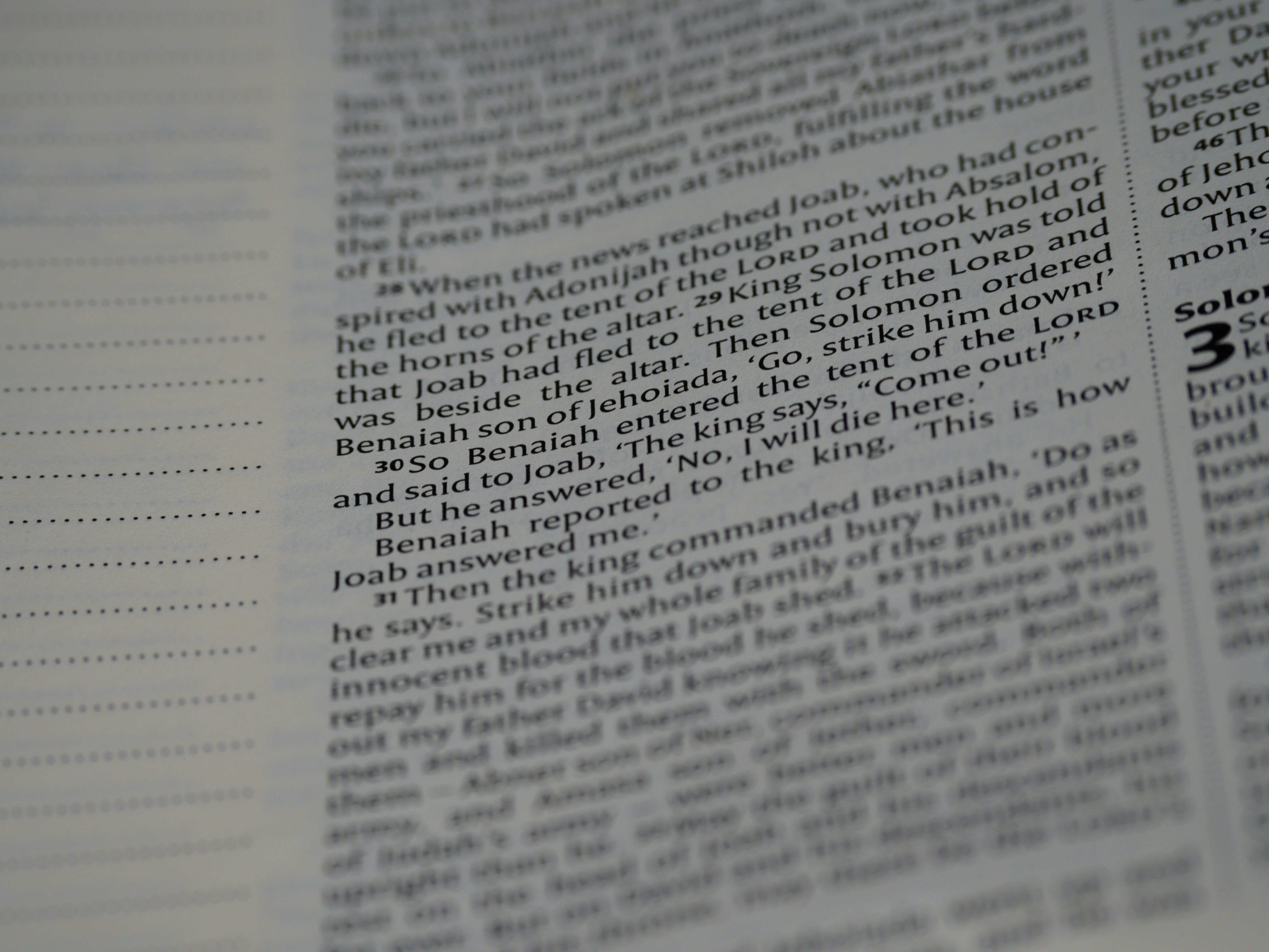 Photo by brett_jordan