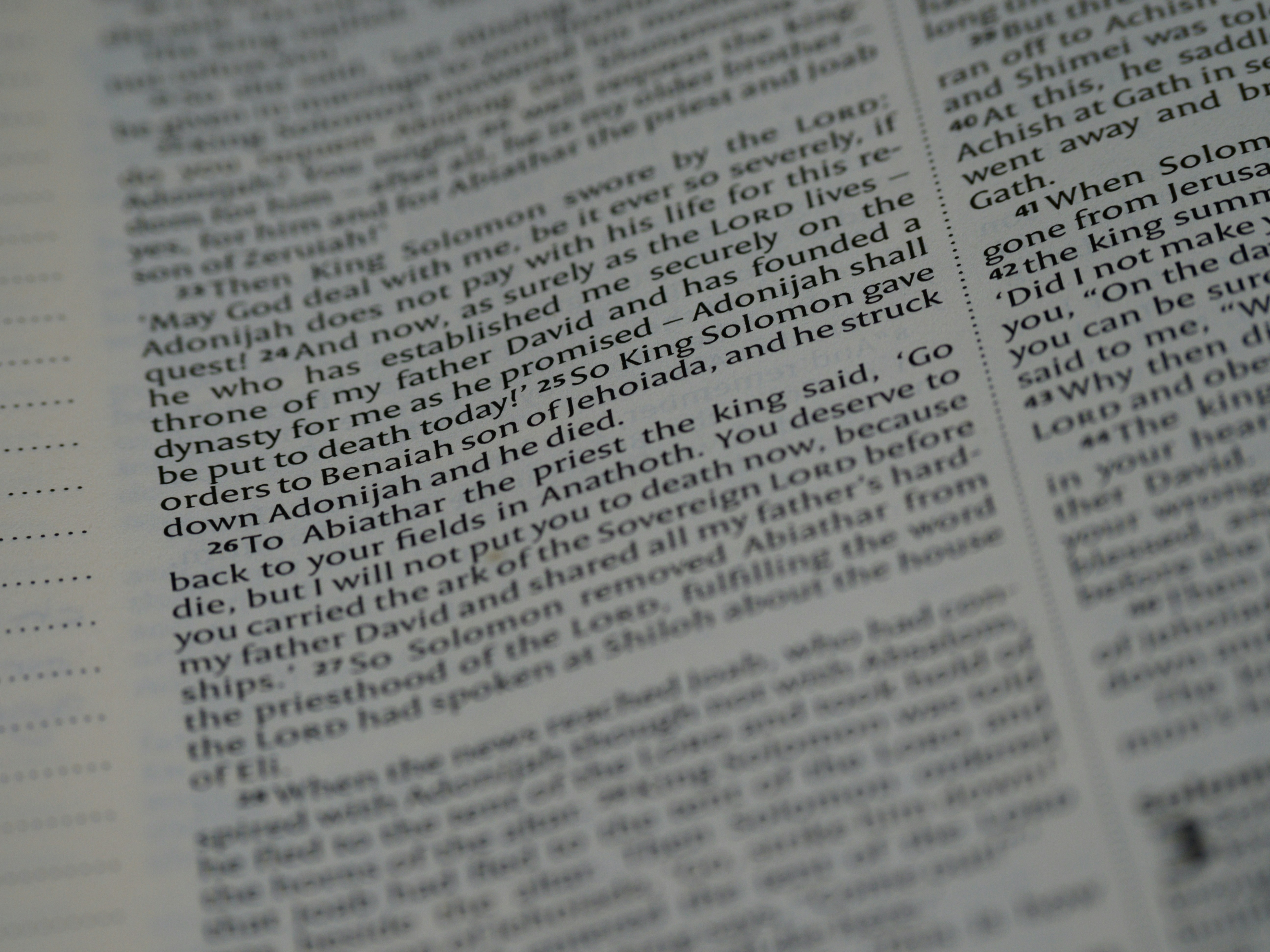 Photo by brett_jordan