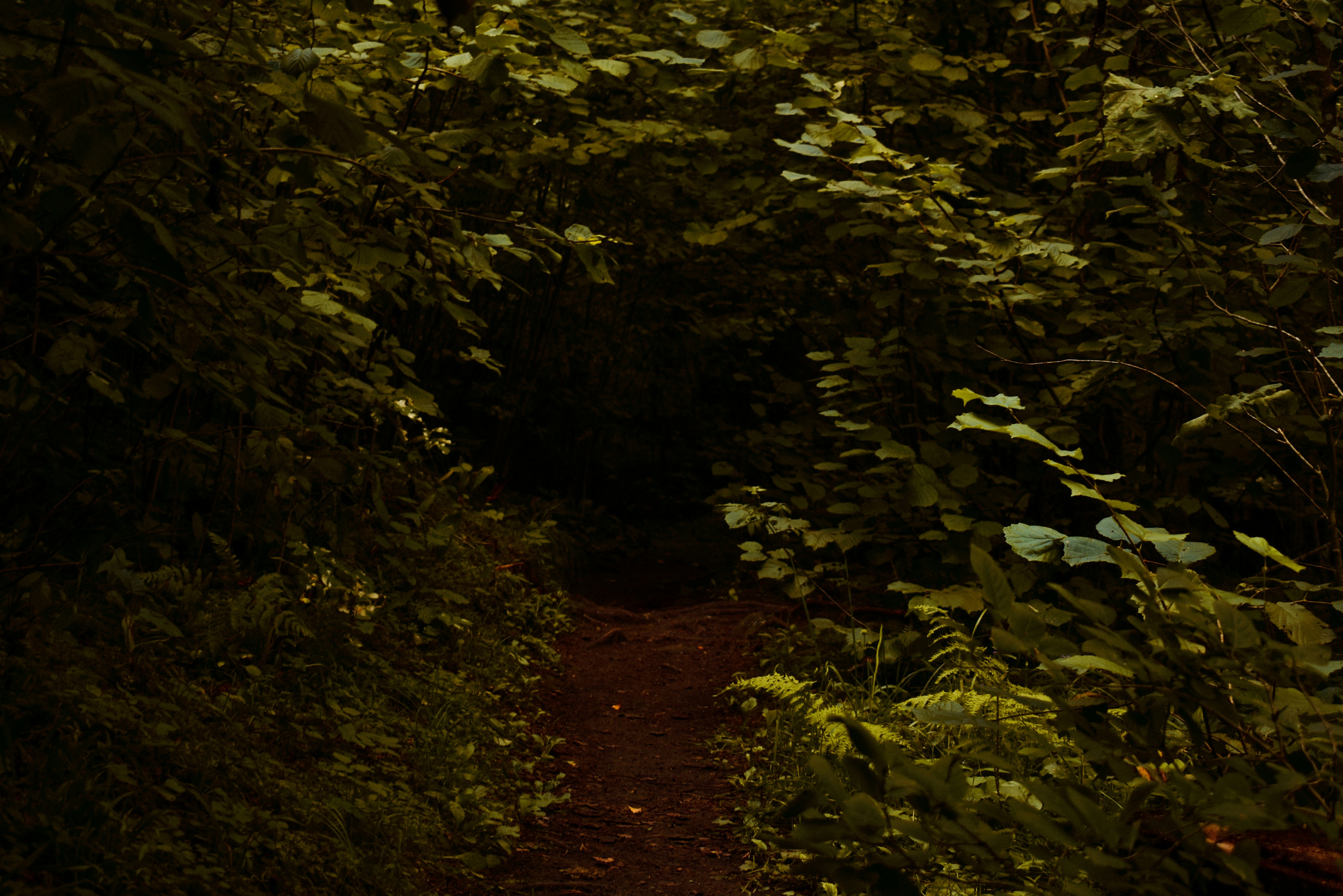 Photo by jekabsmurans