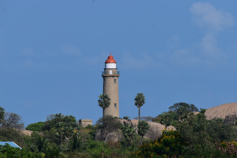 white and red lighthouse near green trees under blue sky during daytime