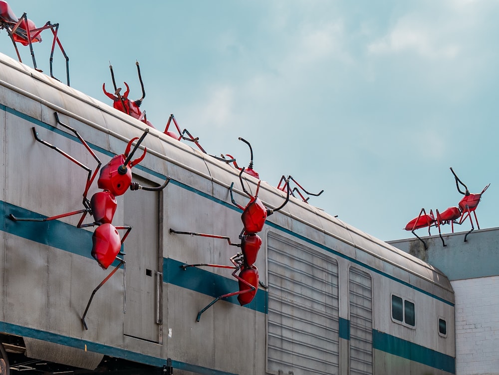 red and white birds on wire during daytime