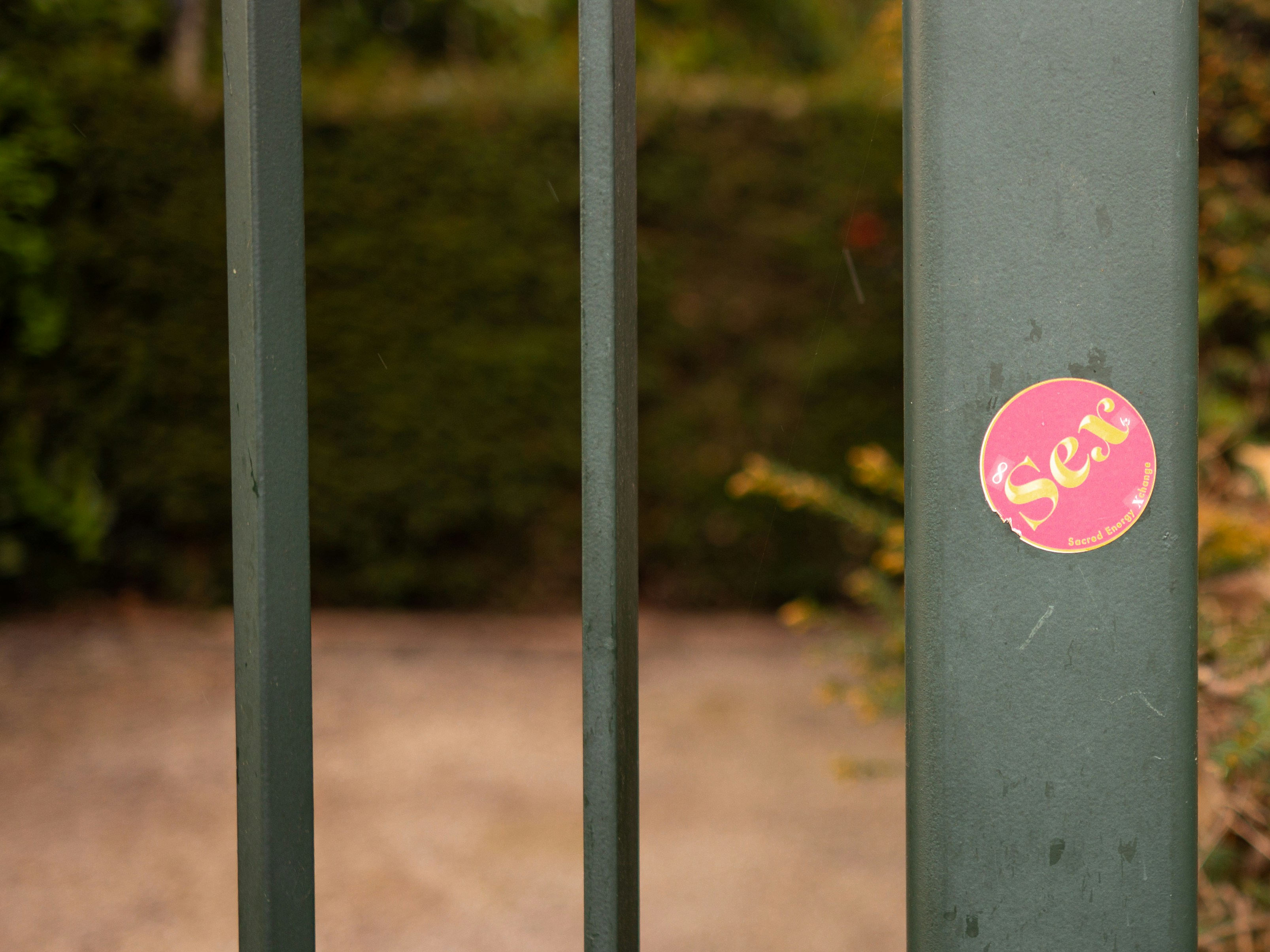 shallow depth of field
