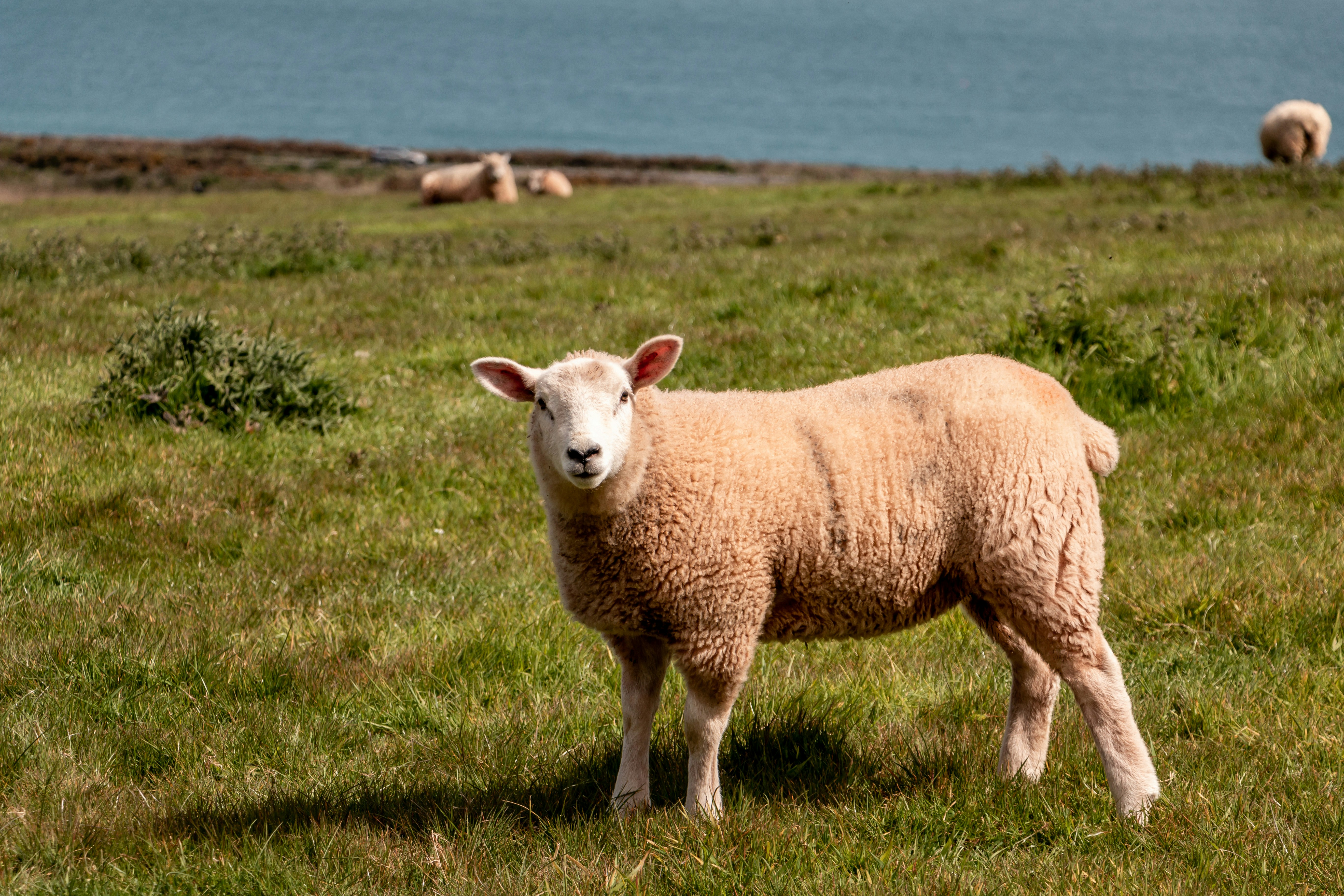 Photo by raymondo600