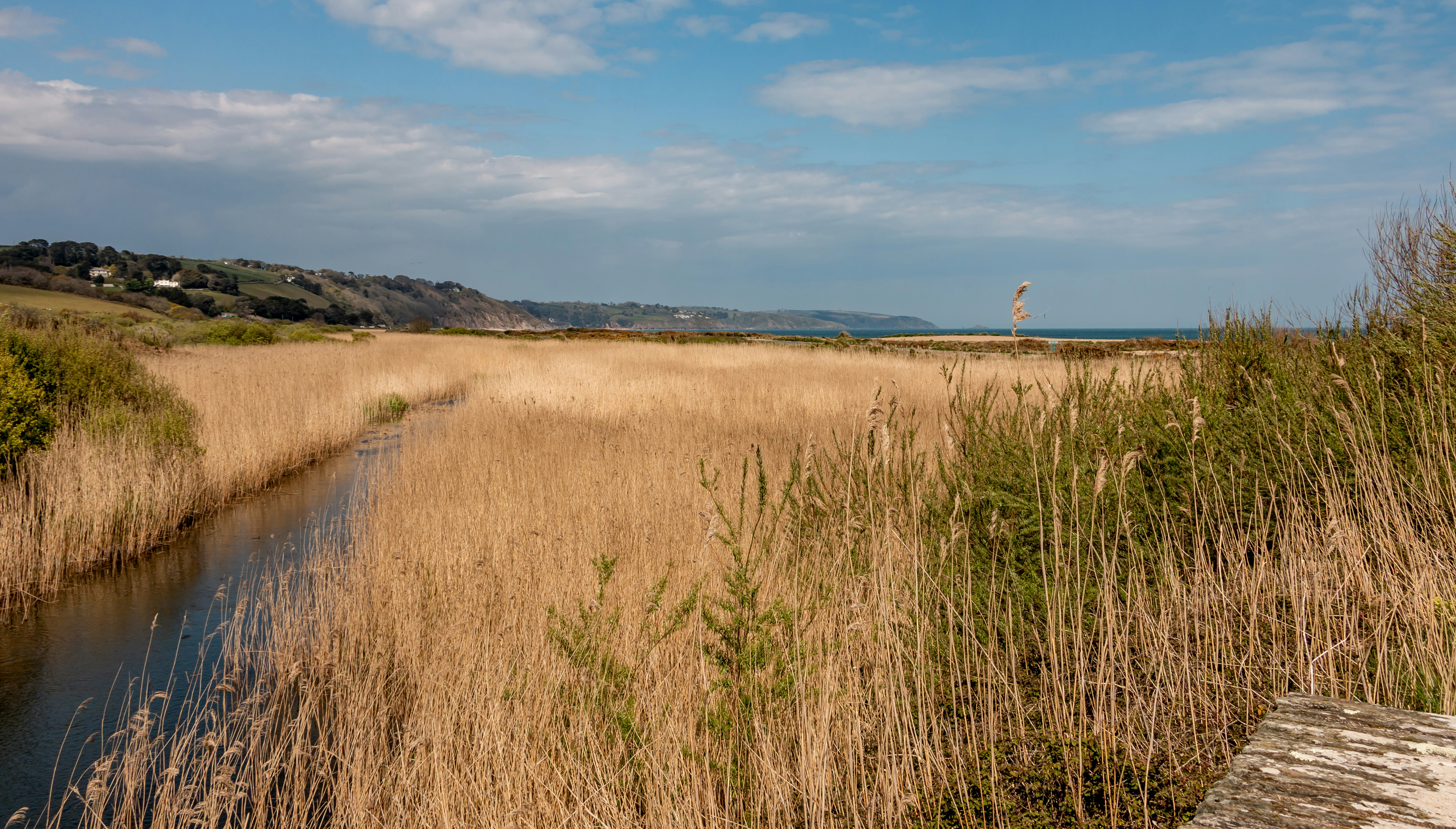 Photo by raymondo600