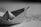 A black and white image featuring a paper boat made from a printed newspaper or similar text material. The background appears to be a blurred map or possibly a desk surface with text partially visible.