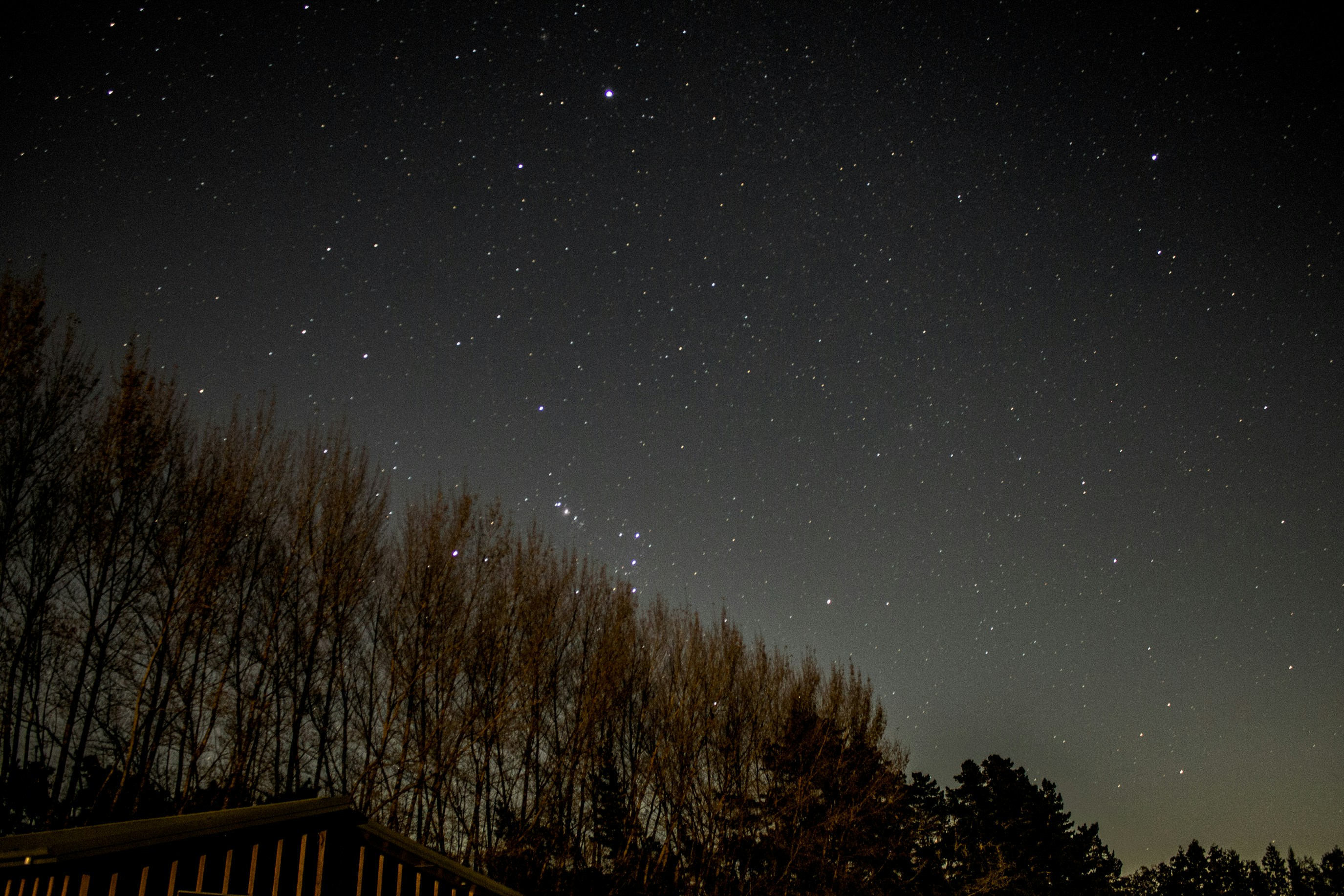 Photo by mdea_photography