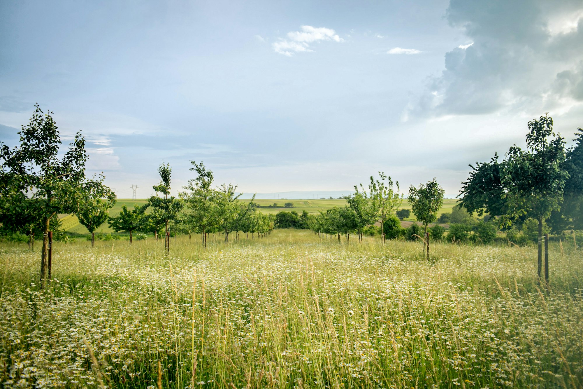 Szkoła C# – Metody rozszerzające