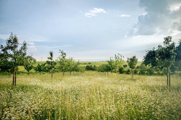 Szkoła C# – Metody rozszerzające