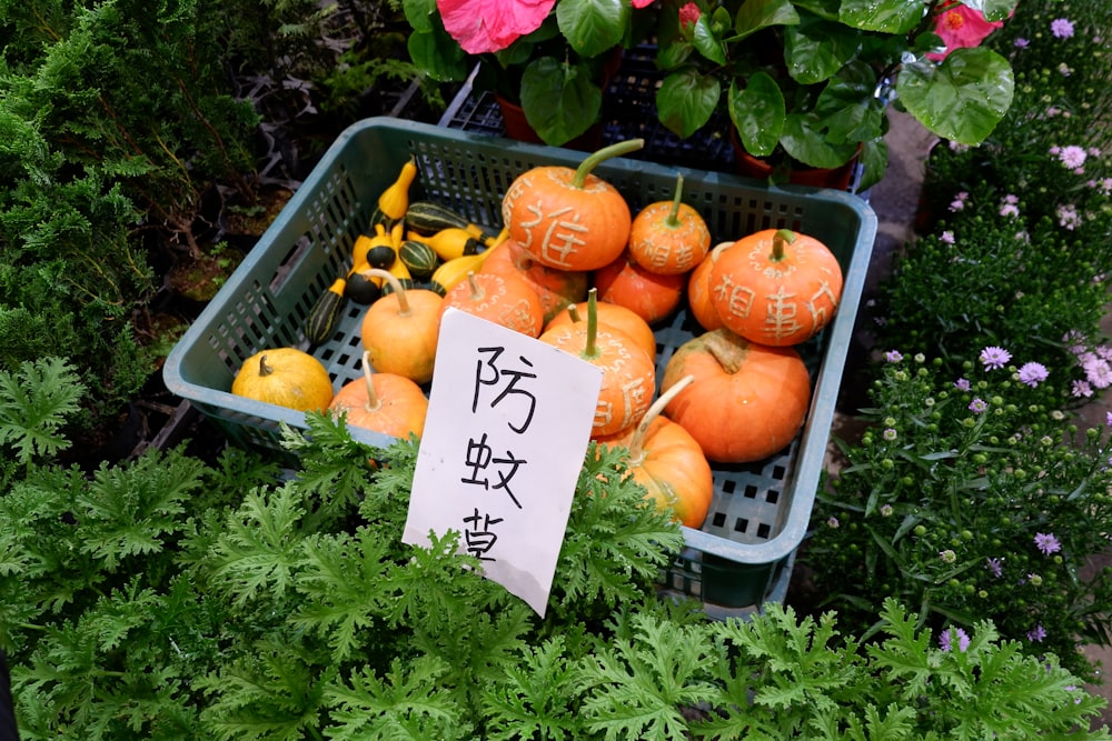 orange fruits on blue plastic basket