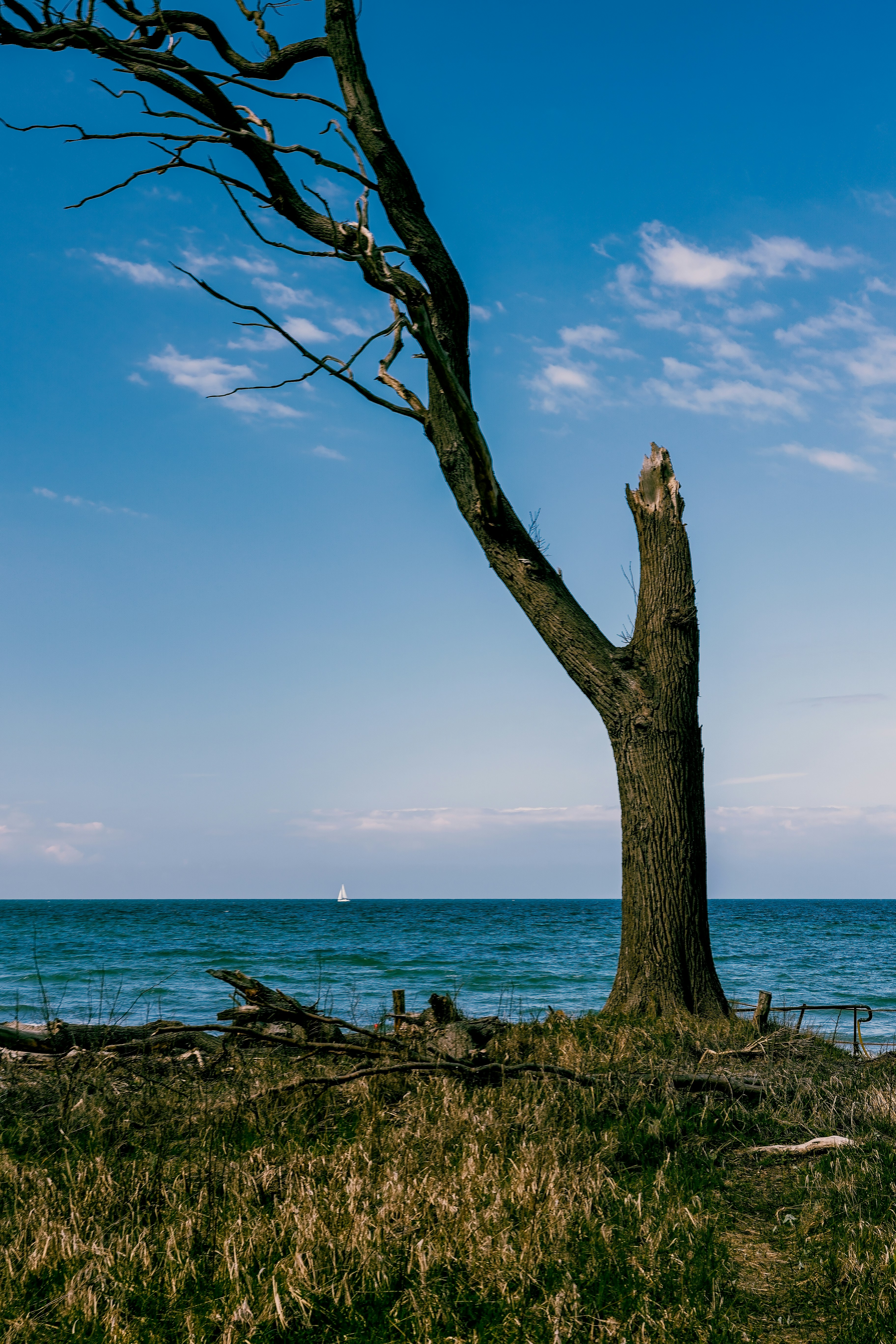 Photo by stefaniejockschat