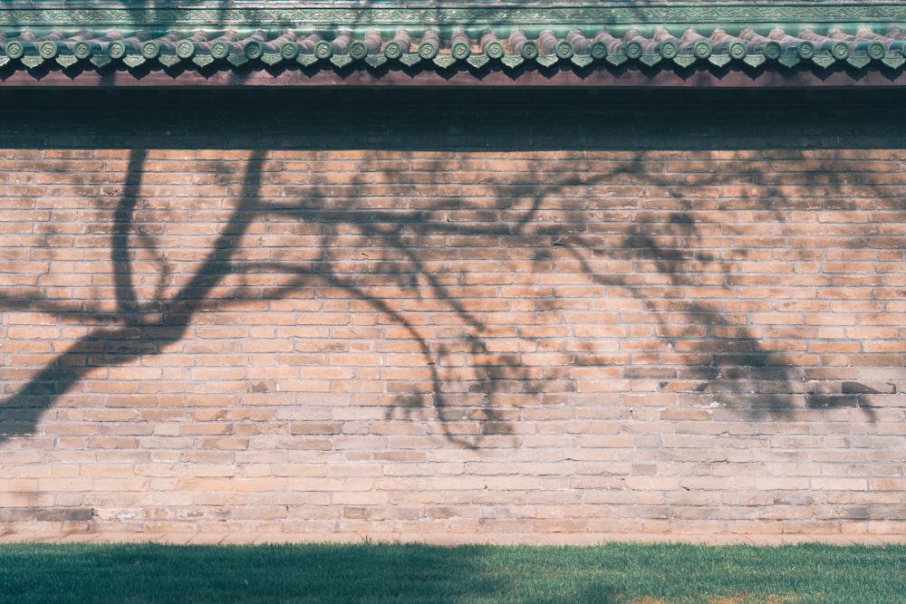 brown brick wall with shadow of tree during daytime