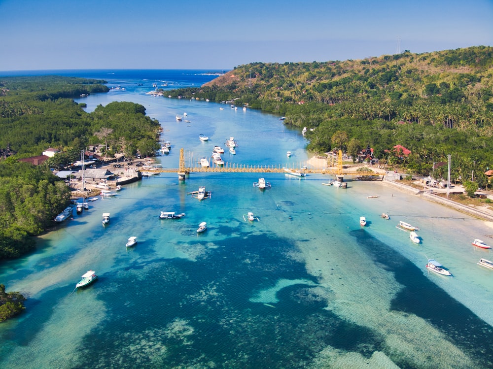 people swimming on beach during daytime