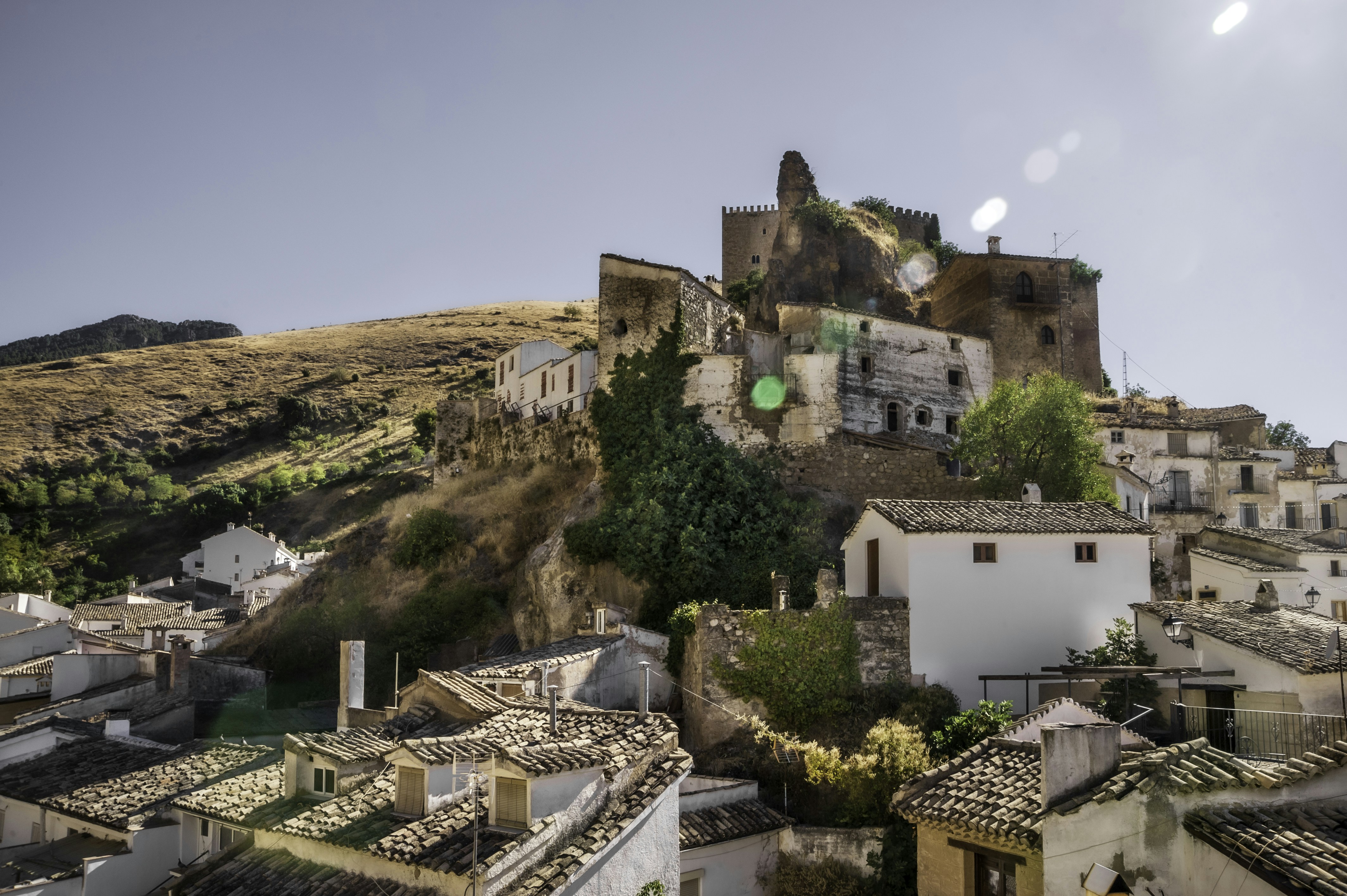 white and brown concrete building near green trees during daytime