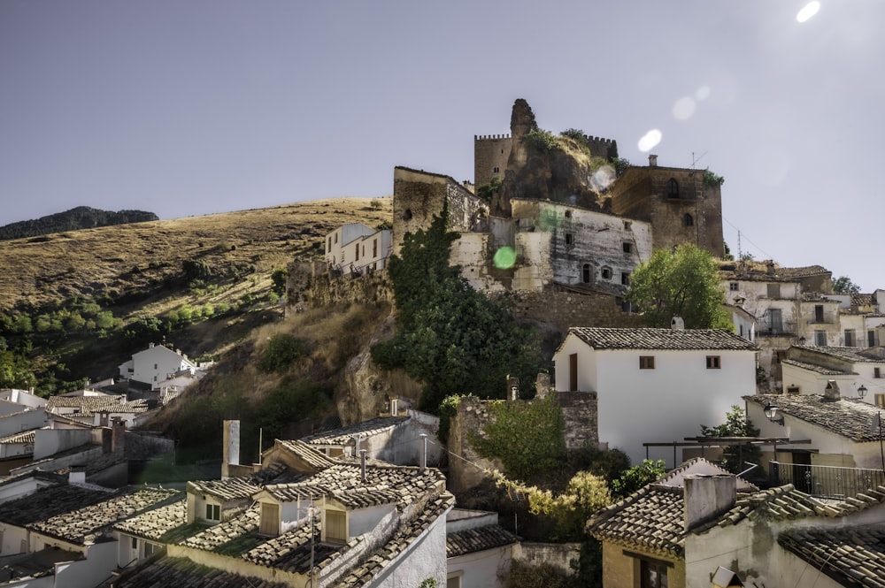 bâtiment en béton blanc et brun près d’arbres verts pendant la journée