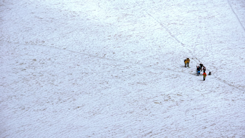 person in yellow jacket riding on yellow and black snow board