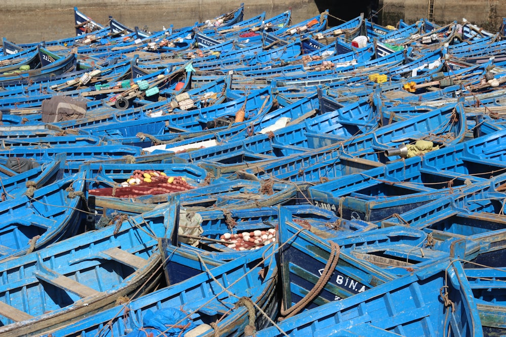 blue and white boat on brown wooden dock during daytime