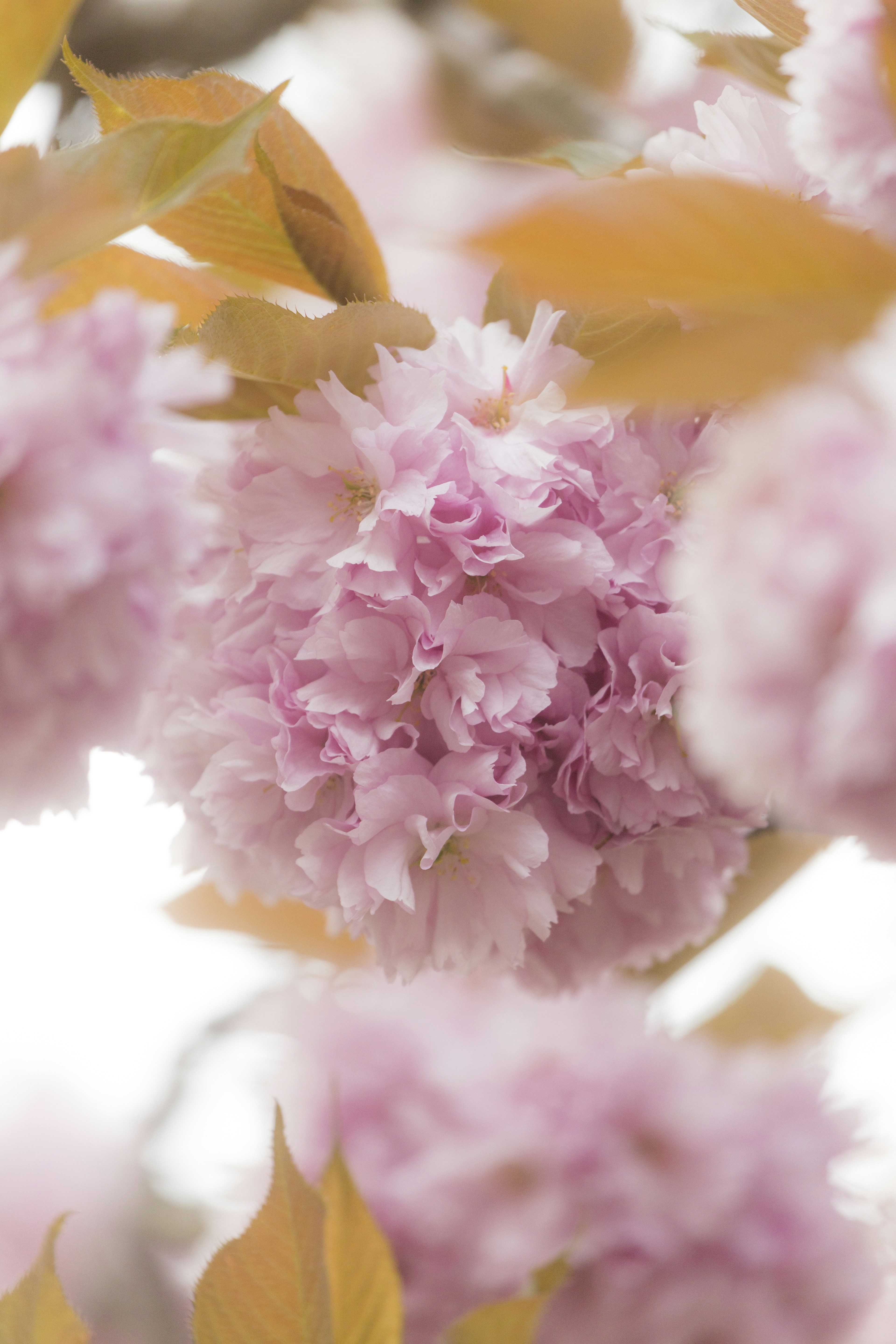 Photo by ditakesphotos