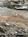 Intricate marble texture with swirling patterns of gray, black, and earthy brown tones. The surface features various layers and formations, highlighting the natural veining typical of stone.