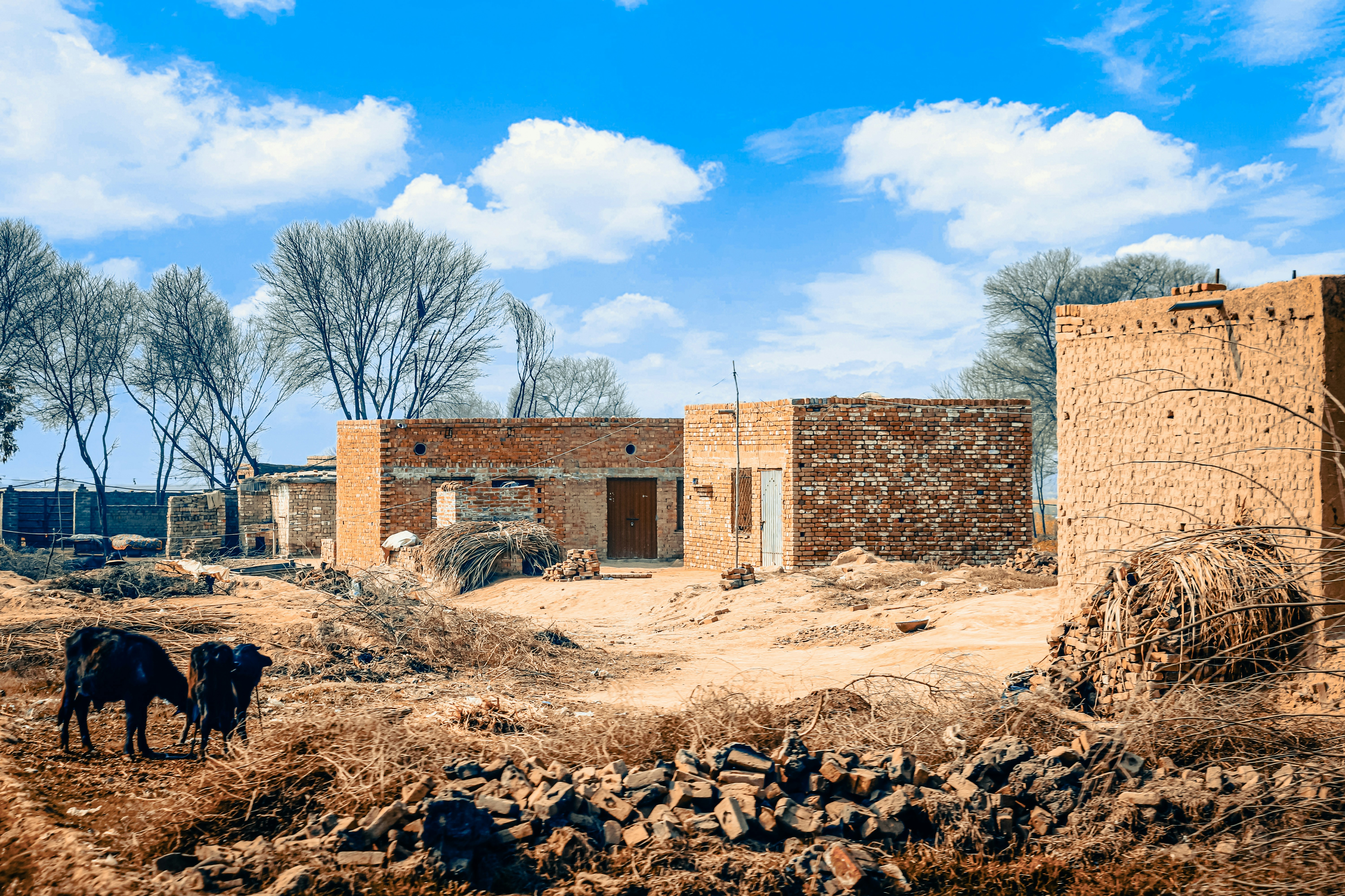 Photo by umairbhutta391