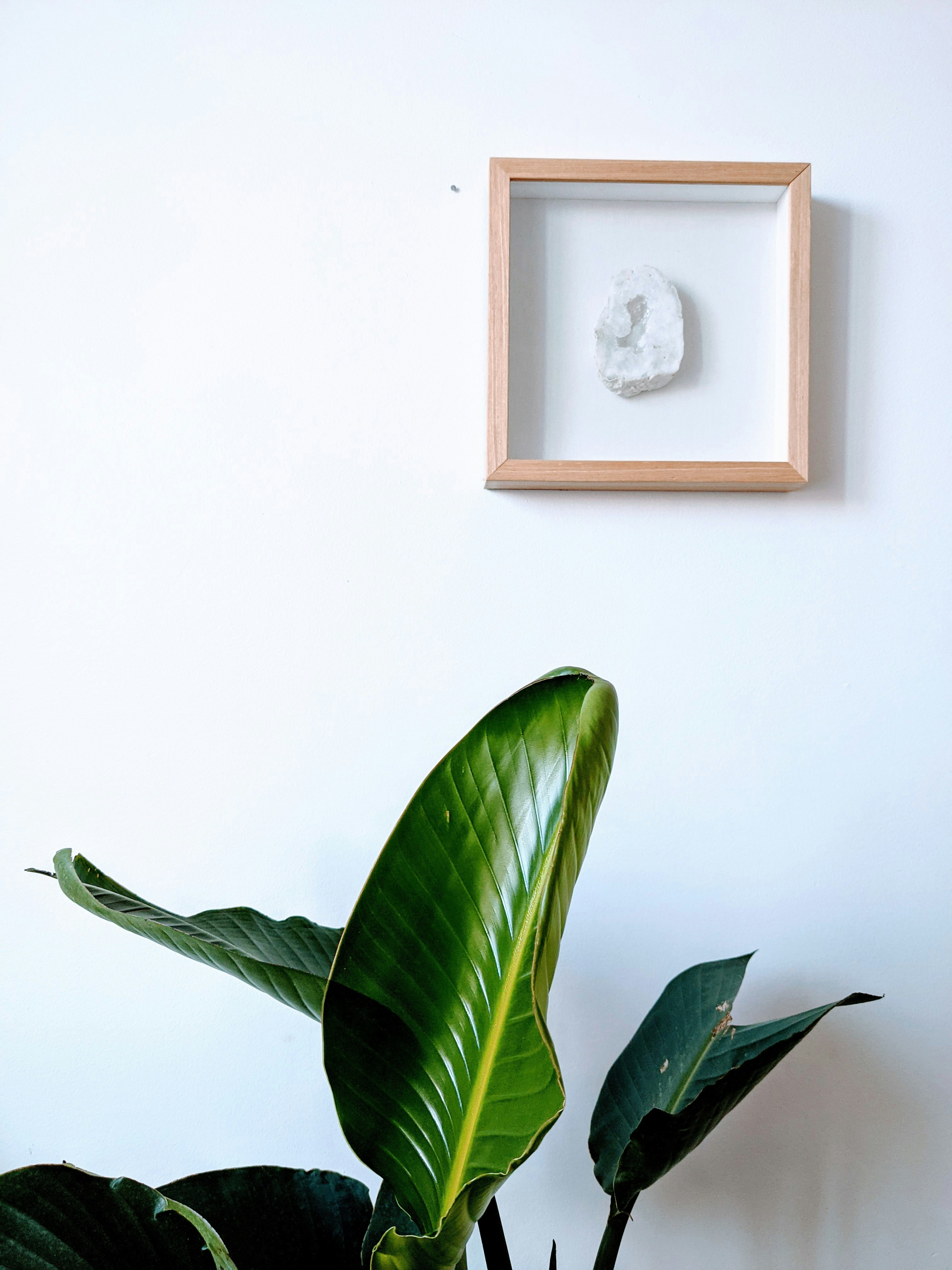 Photo by _leoventura