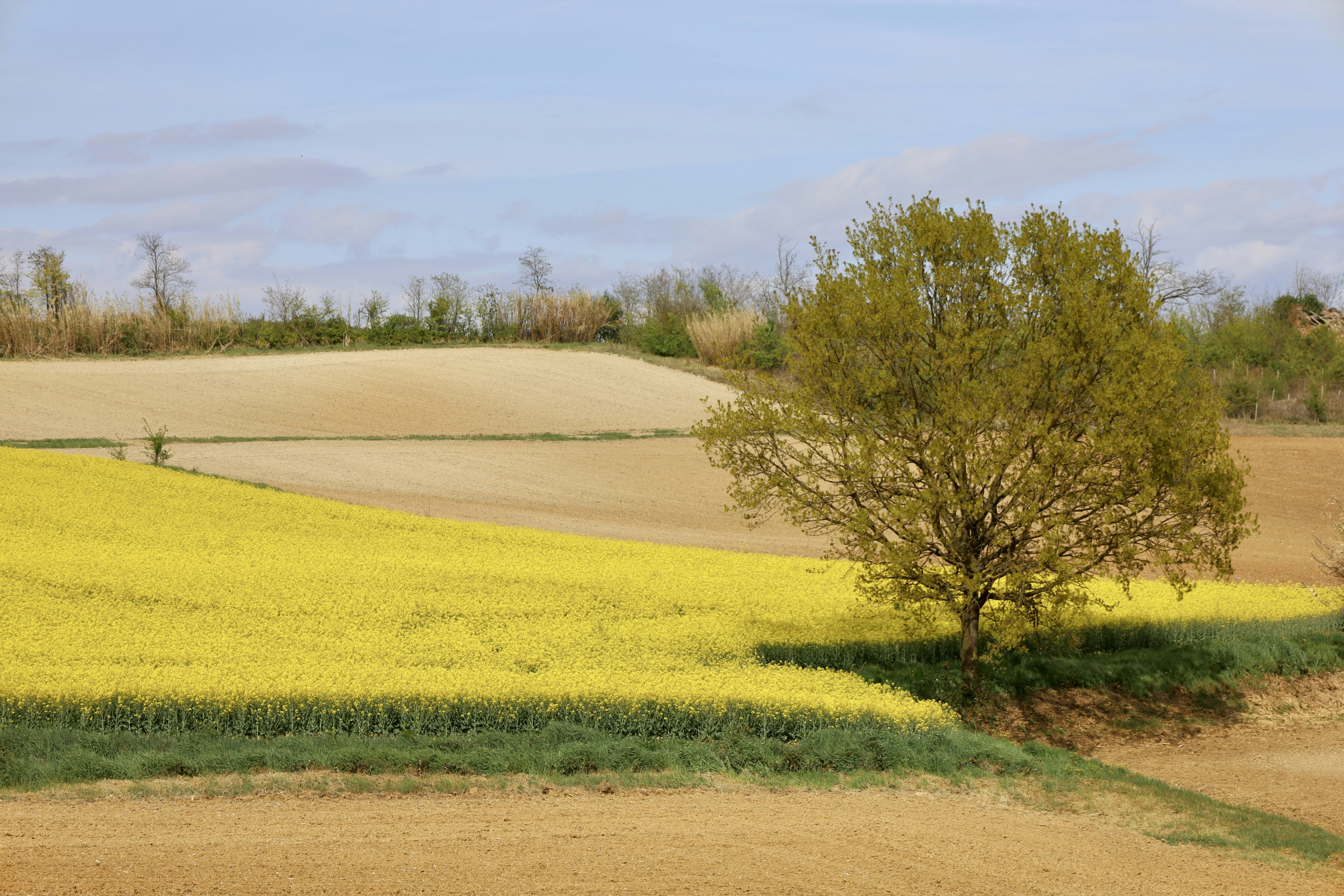 Photo by claudiopoggio