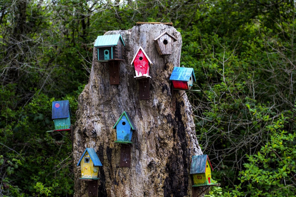 blue and brown wooden birdhouse on tree