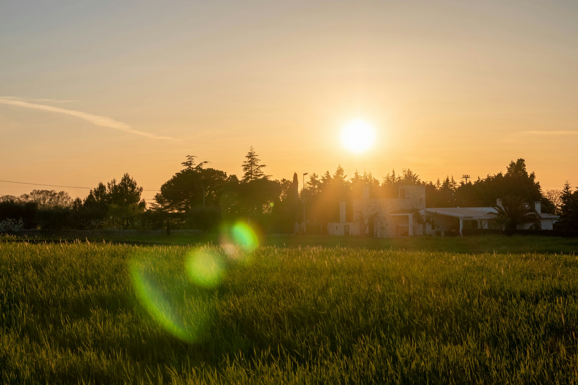 Exploring Putignano: Local Culture, Traditions, and Festivals