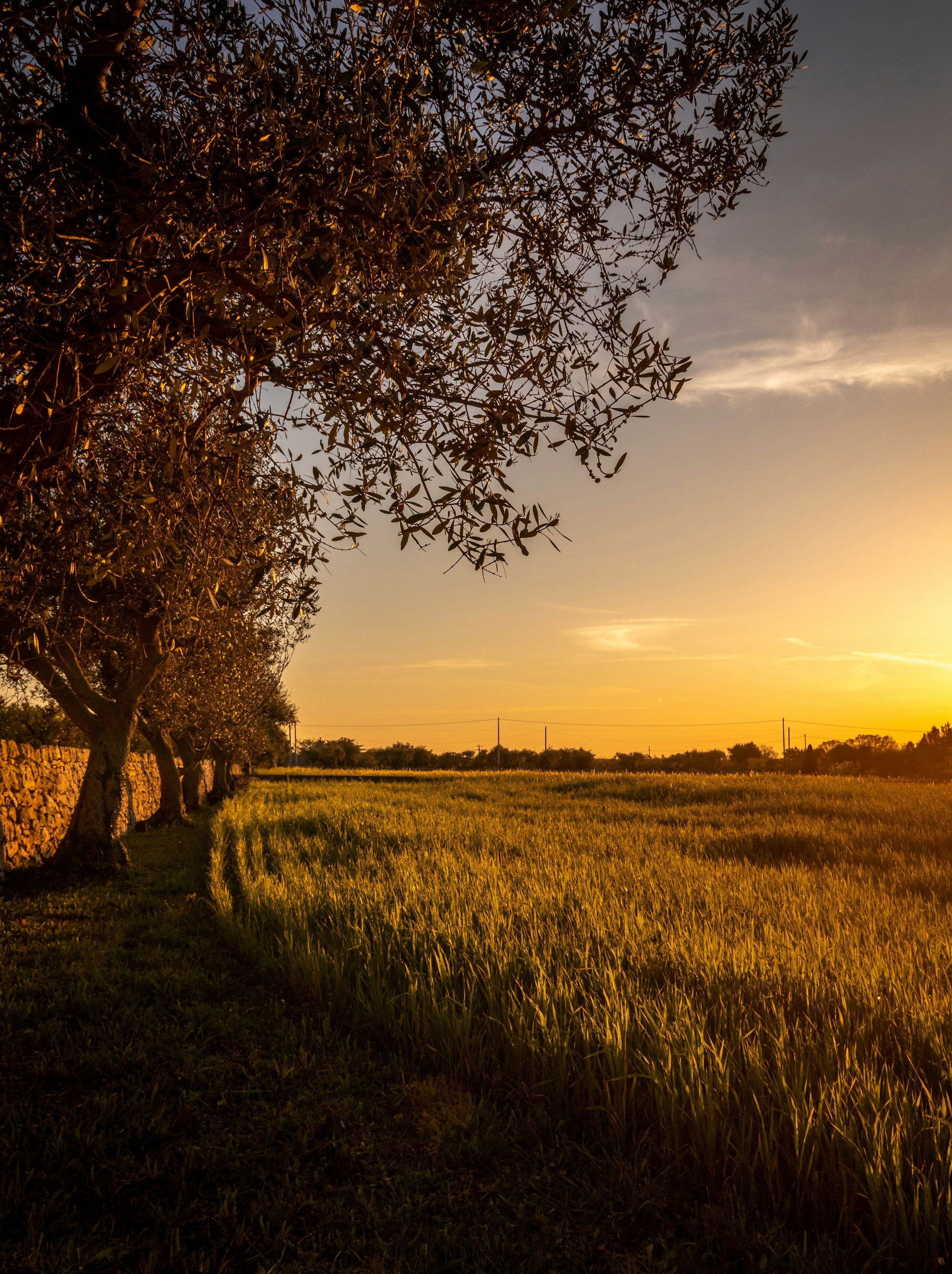 Best Time to Visit Putignano: Weather, Seasons & Ideal Months