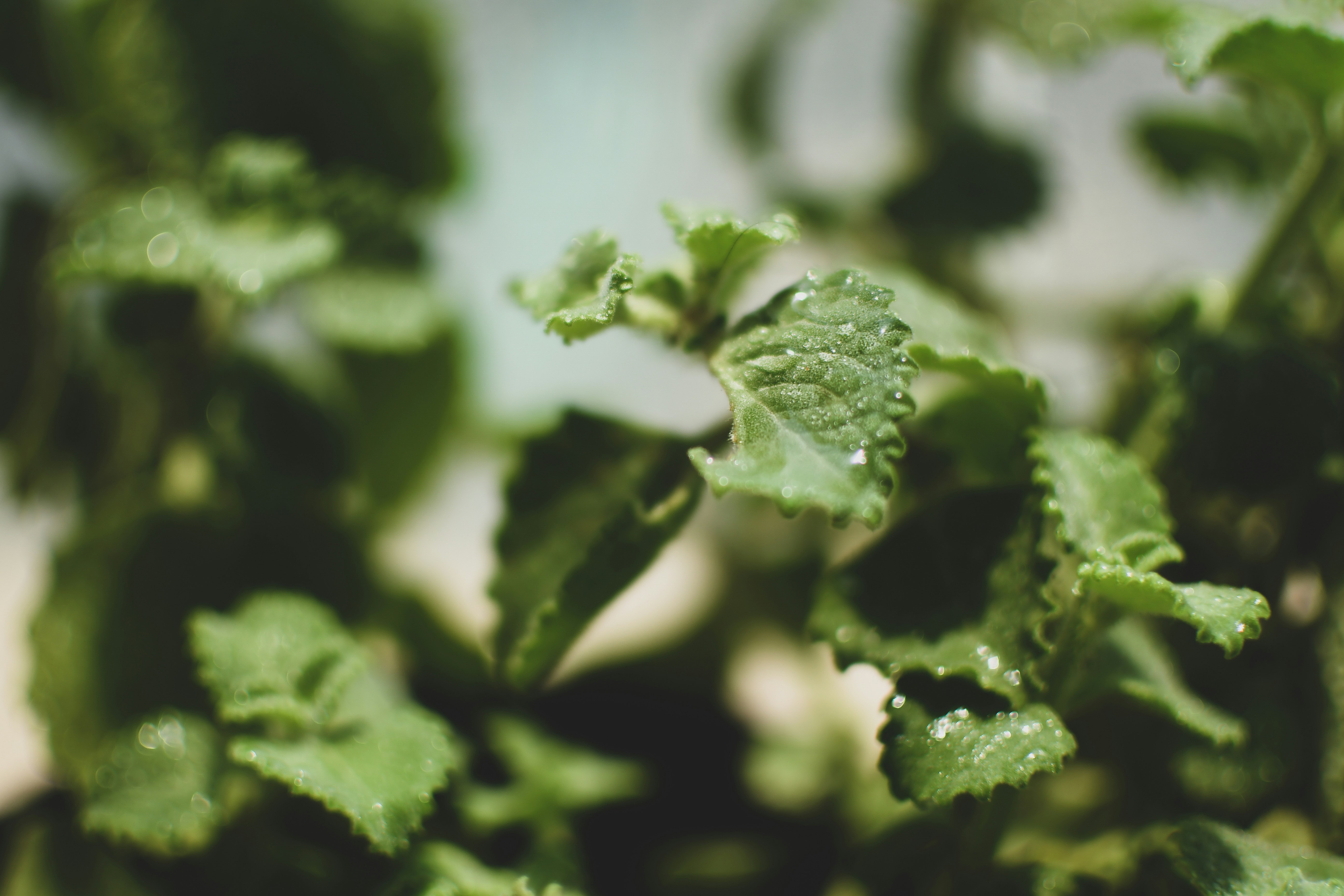 Photo by perventuator