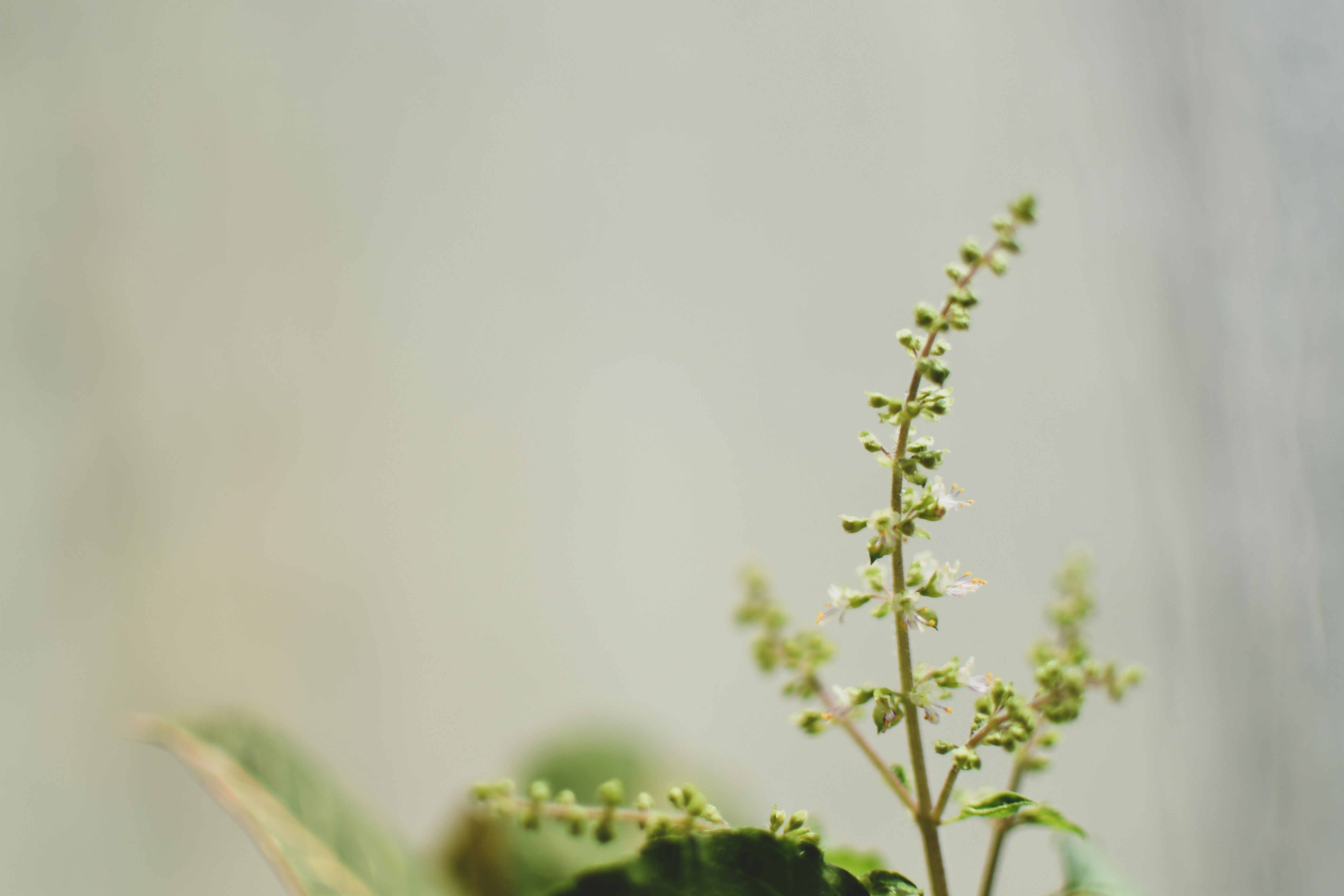 Photo by perventuator