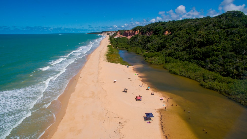 people on beach during daytime