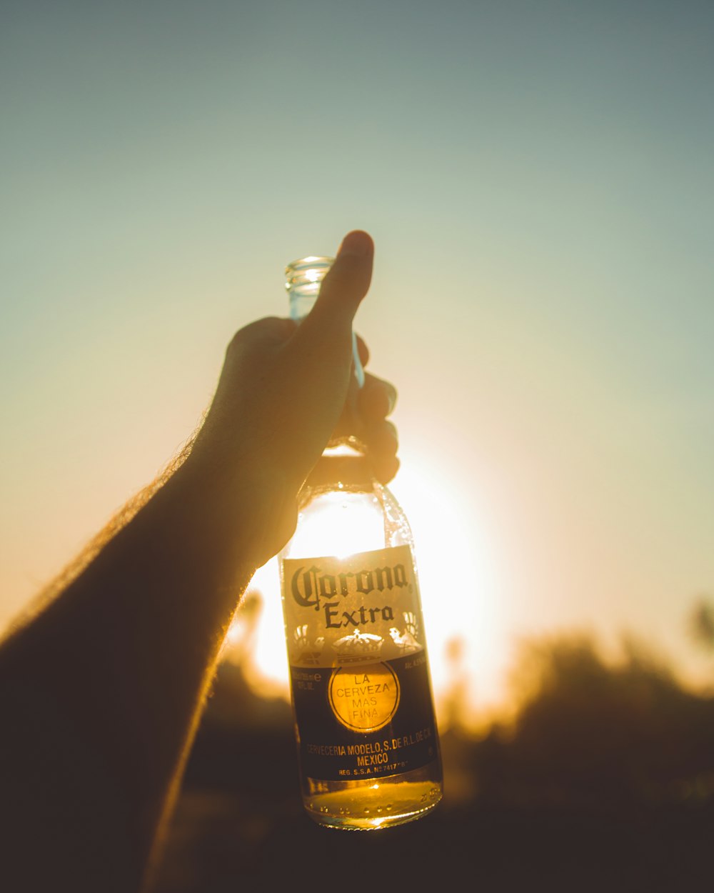 person holding a bottle of beer