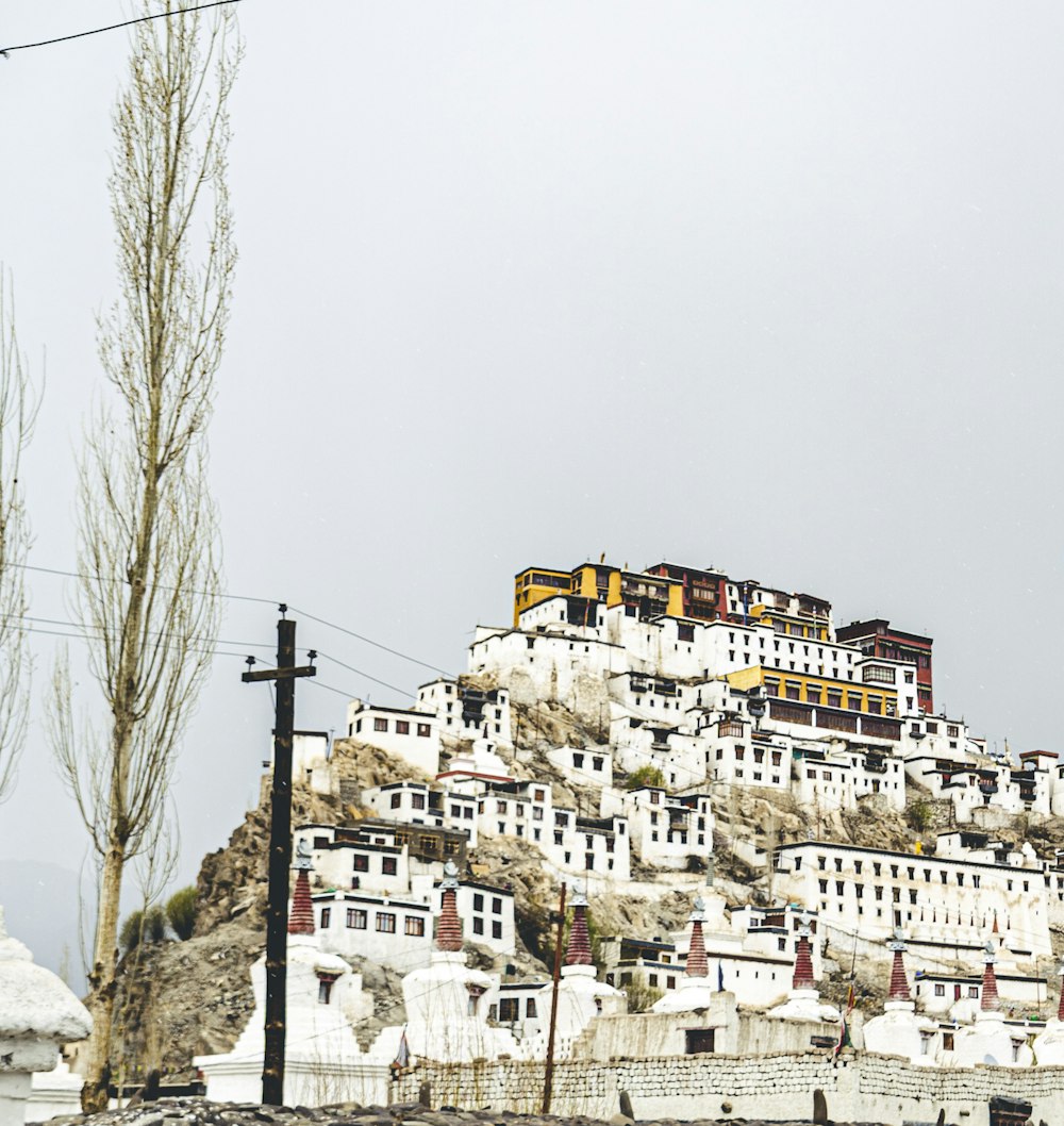 white concrete buildings during daytime